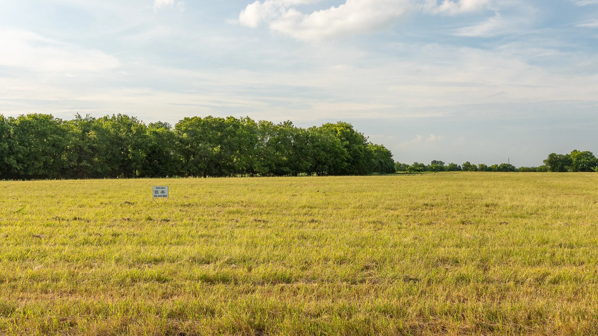 landscape-ground-summerdale-03069.jpg