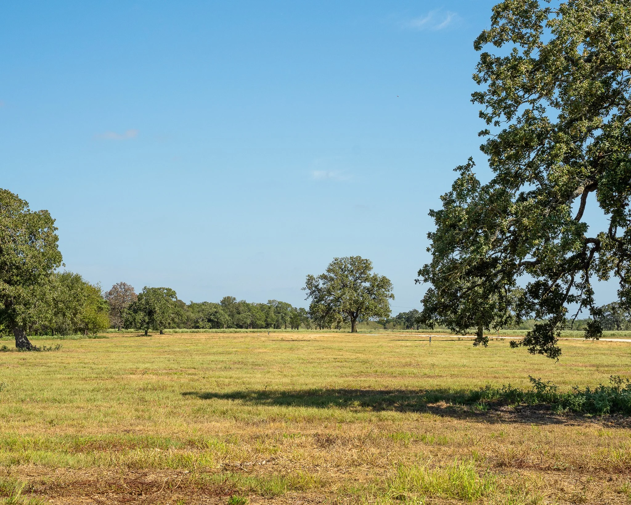 portrait-smithville-38.jpg