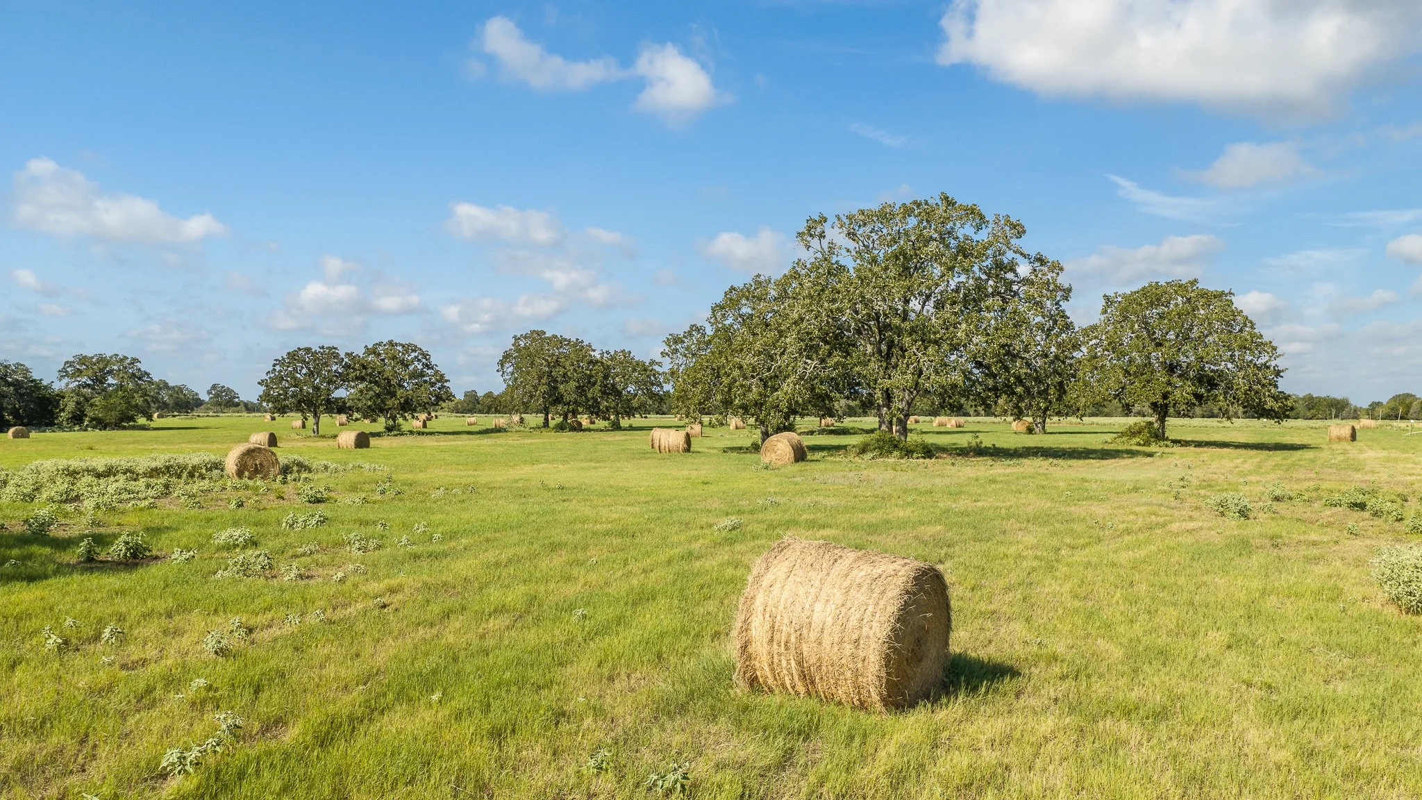 landscape-smithville-32.jpg