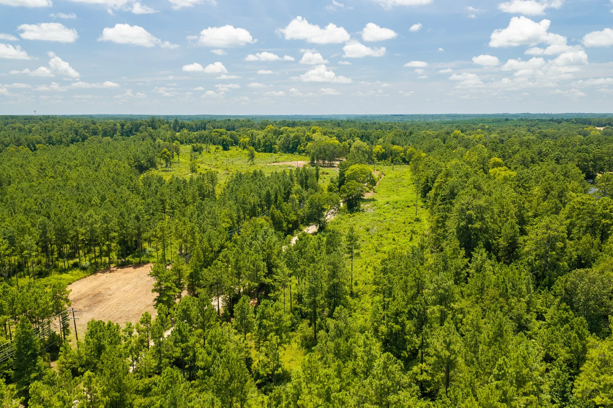 woodville-52.jpg