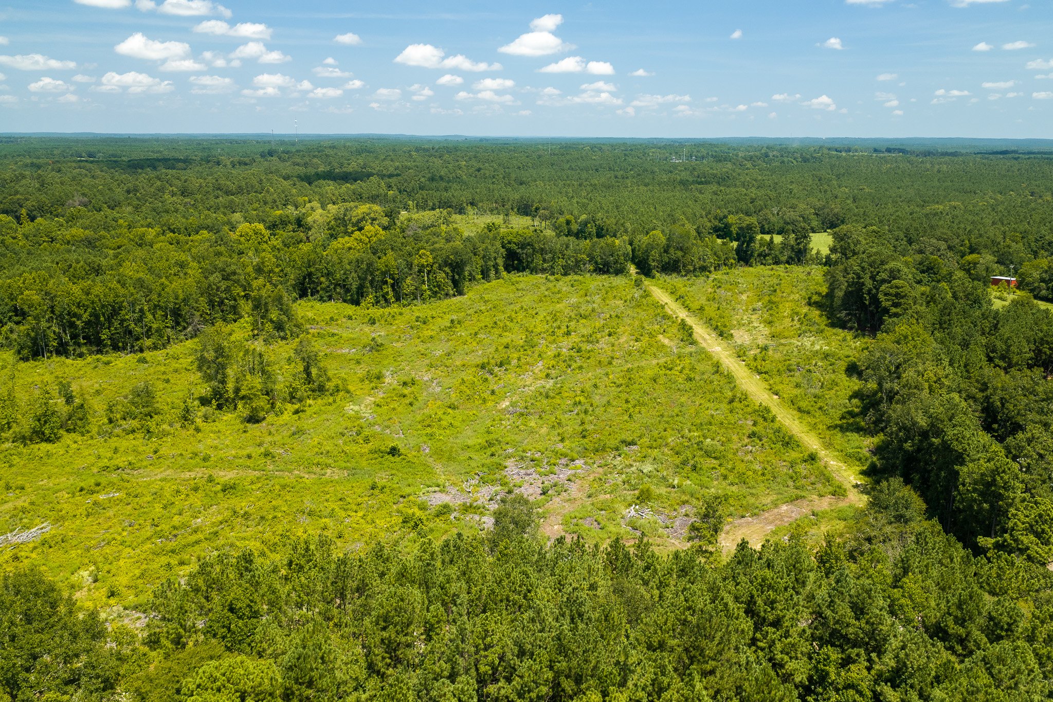 woodville-11.jpg