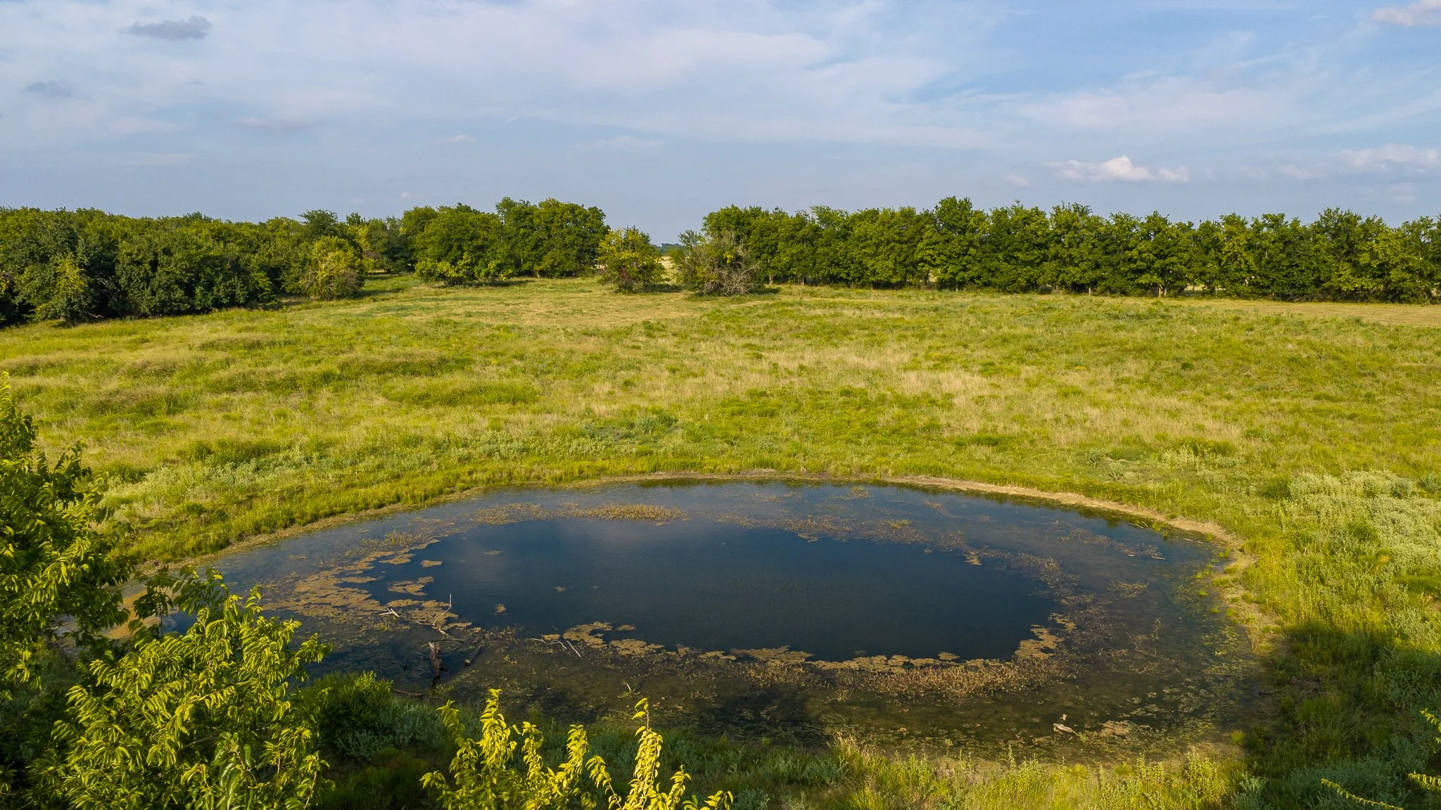 landscape-aerial-summerdale--37.jpg