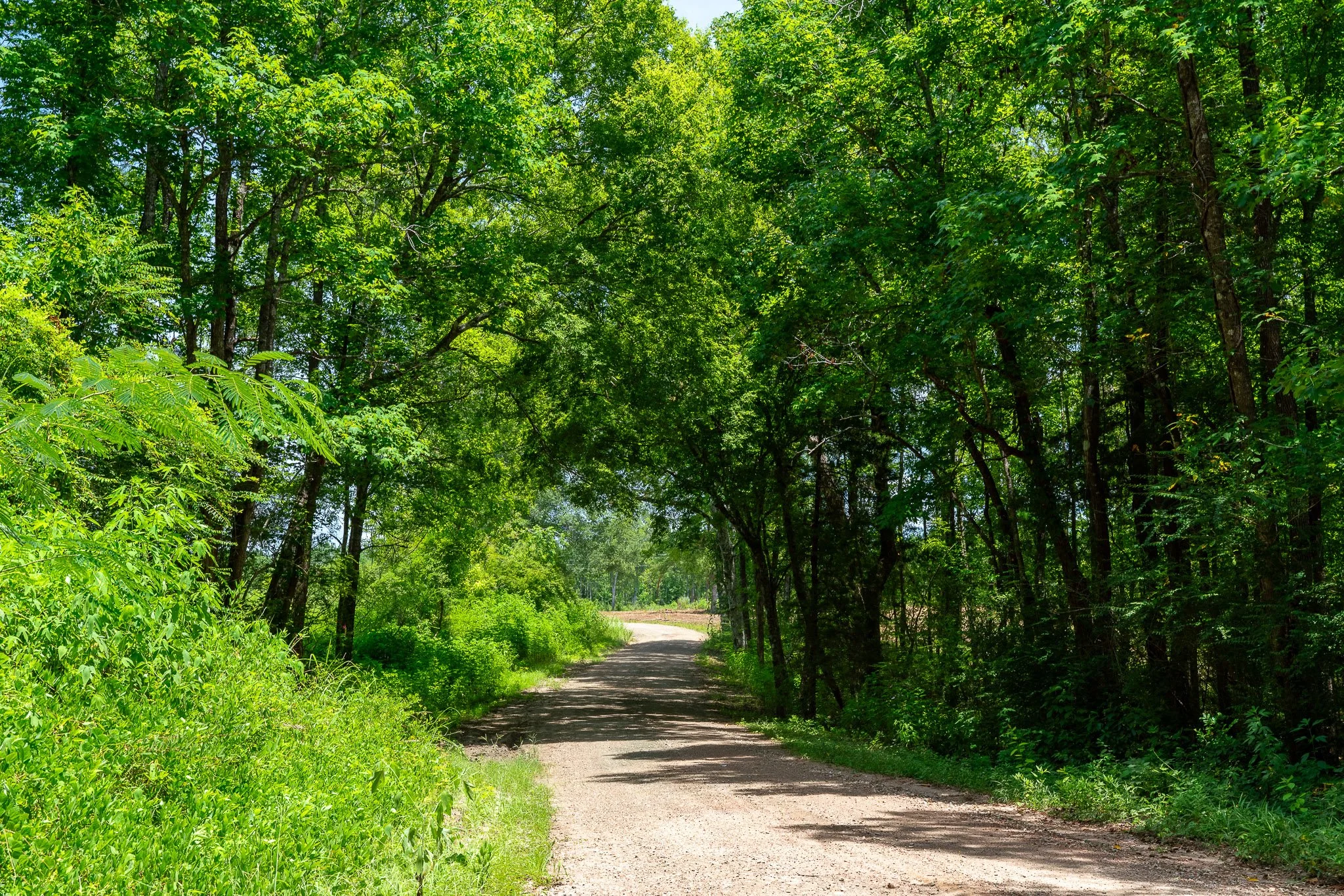 woodville-96.jpg