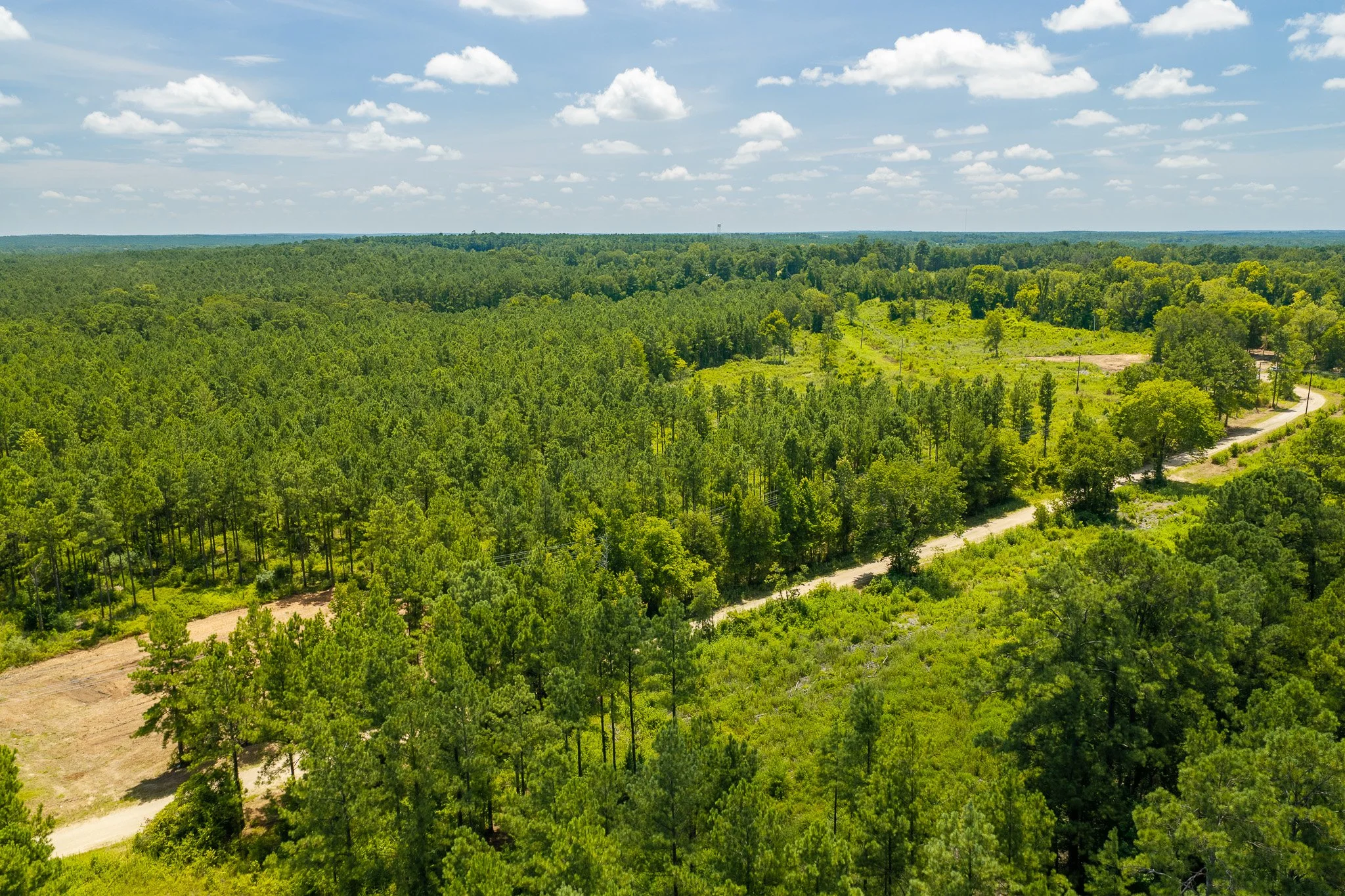 woodville-25.jpg
