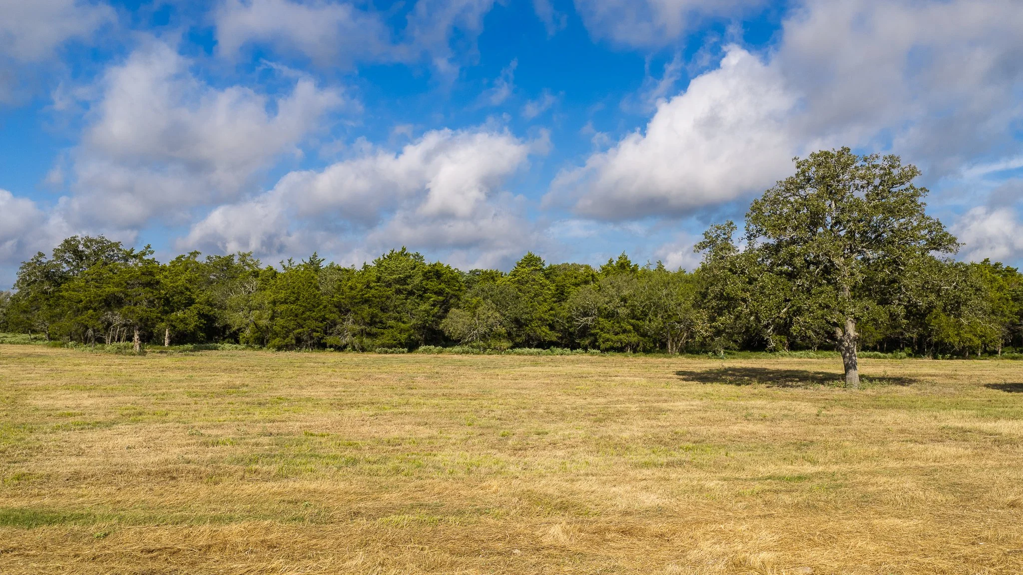 landscape-smithville-6.jpg