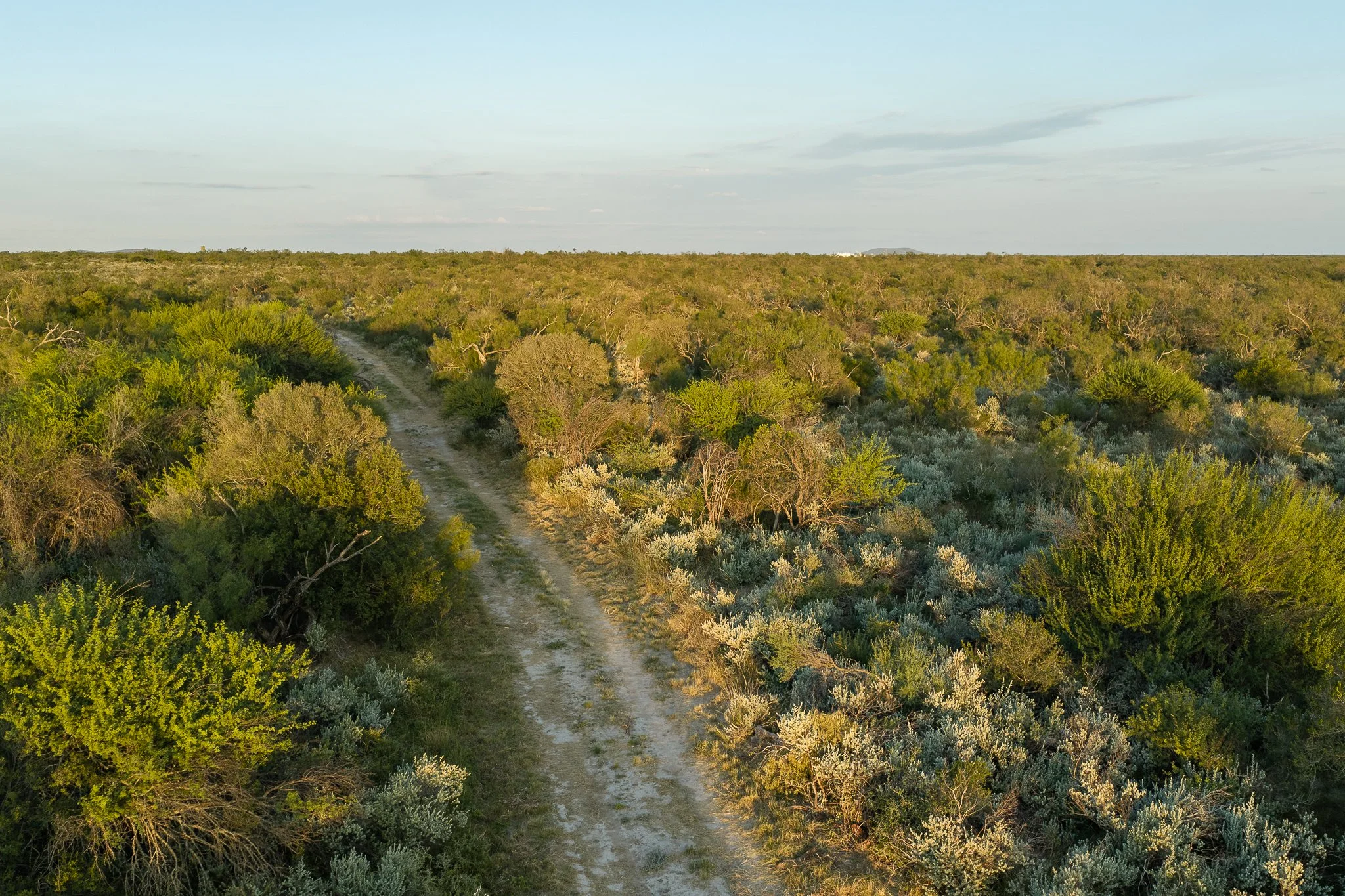 Blue_Rooster_Ranch-75.jpg
