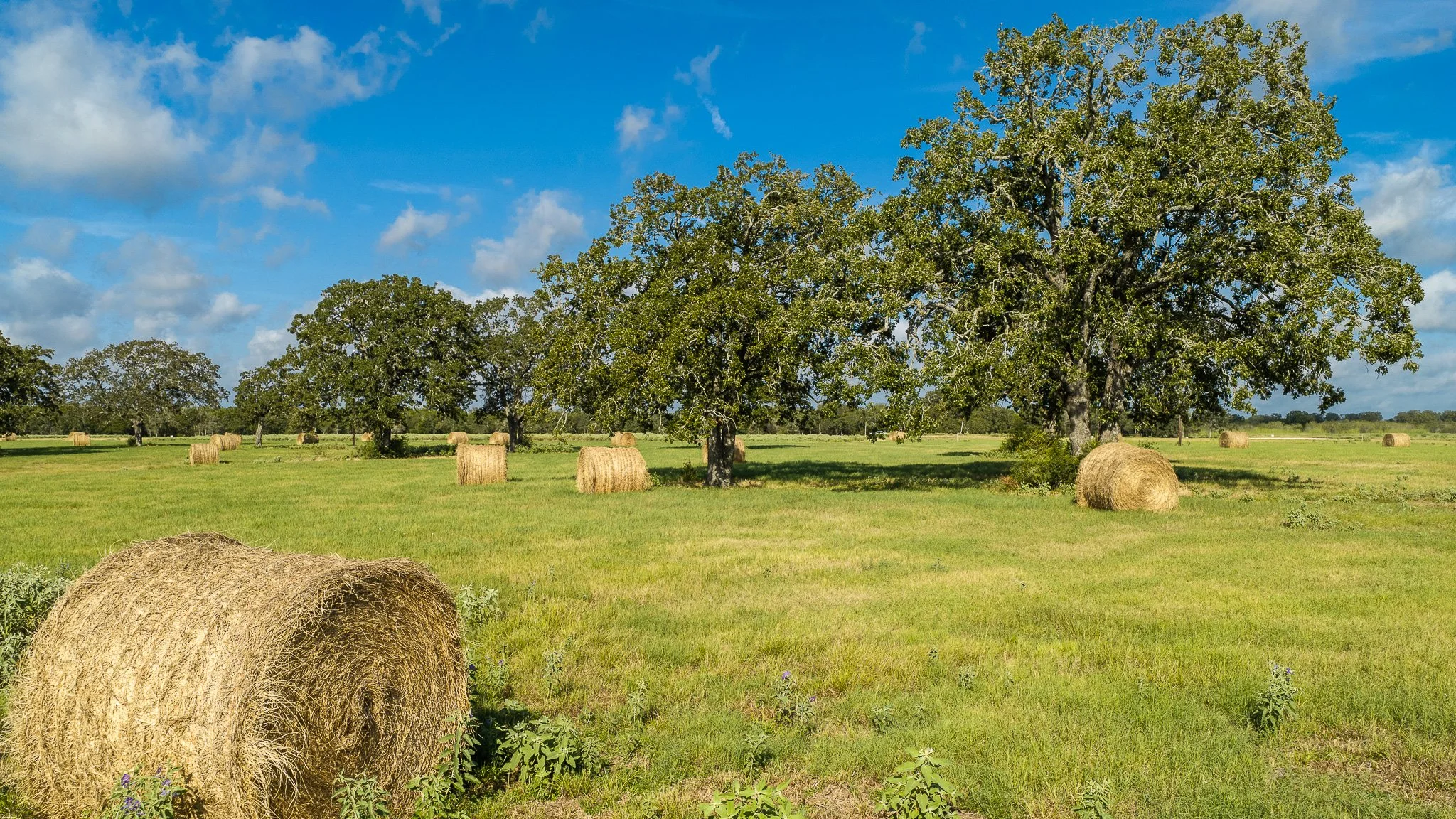 landscape-smithville-16.jpg