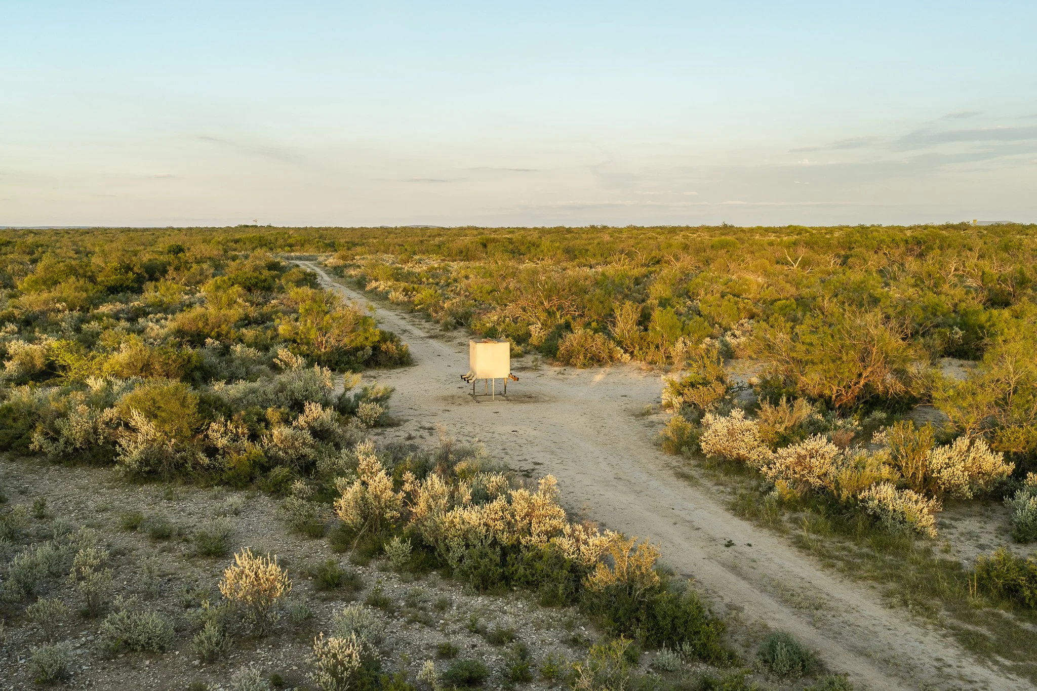 Blue_Rooster_Ranch-77.jpg