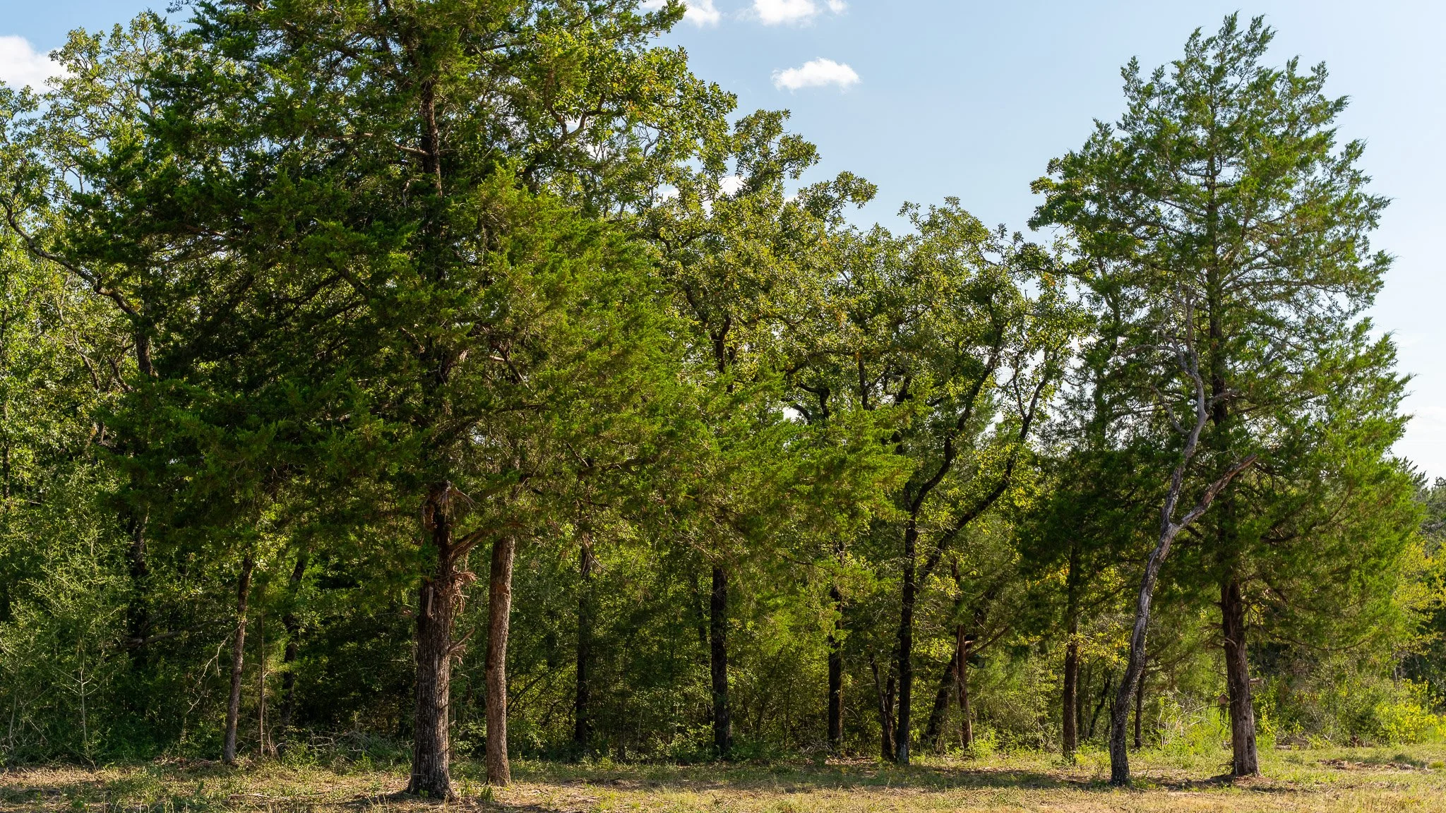 landscape-crestwood-45.jpg