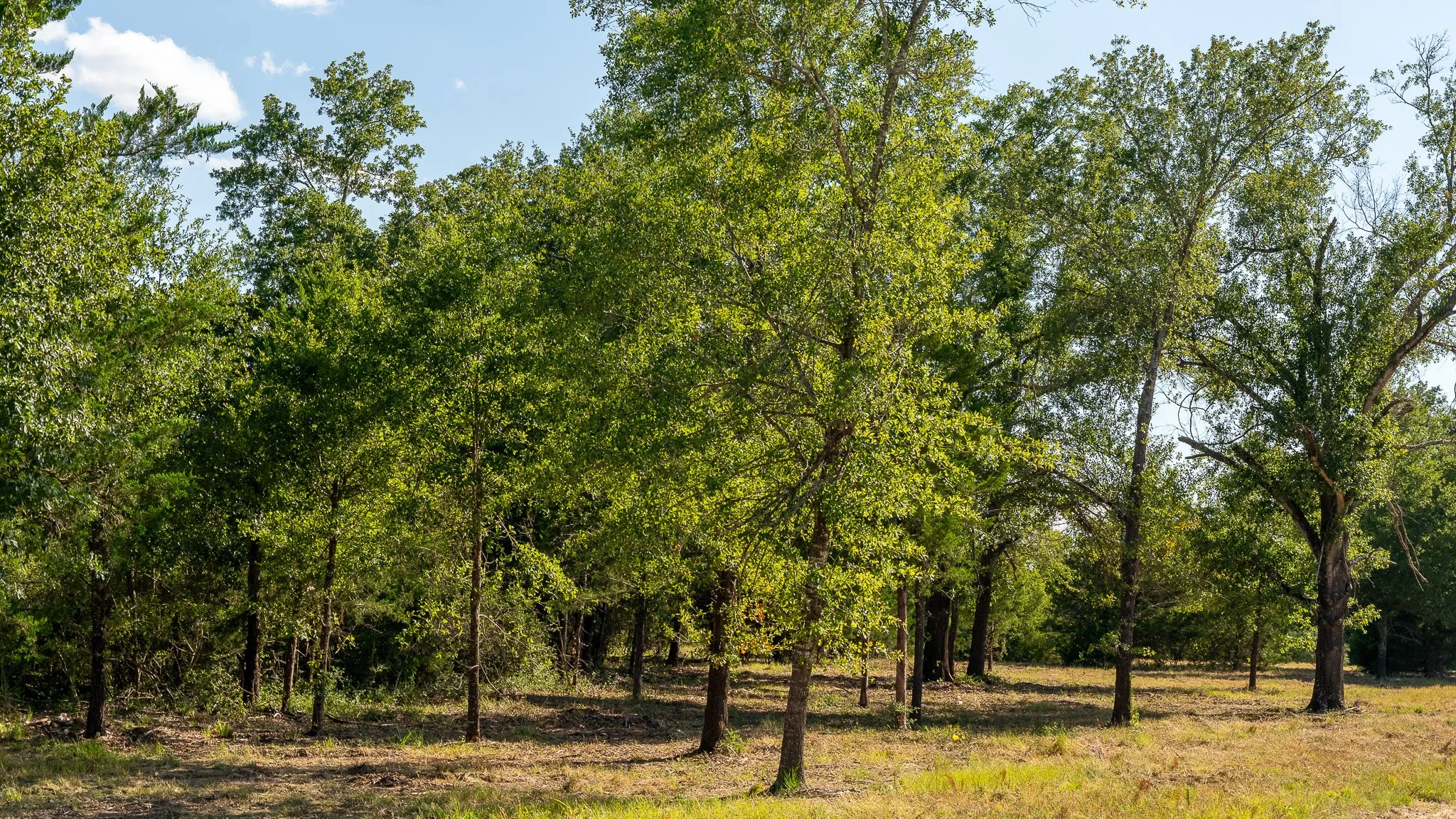 landscape-crestwood-49.jpg
