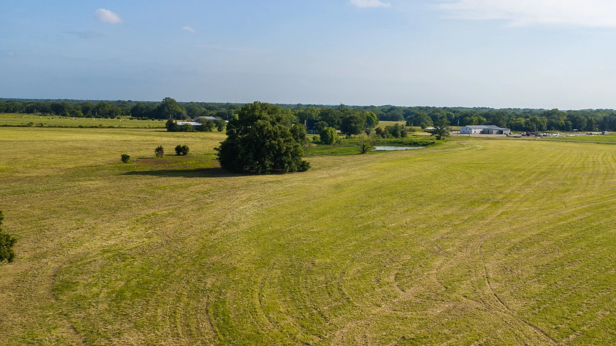 landscape-aerial-summerdale--22.jpg