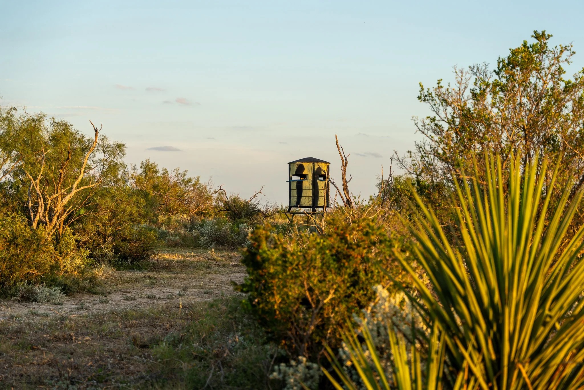 Blue_Rooster_Ranch-22.jpg