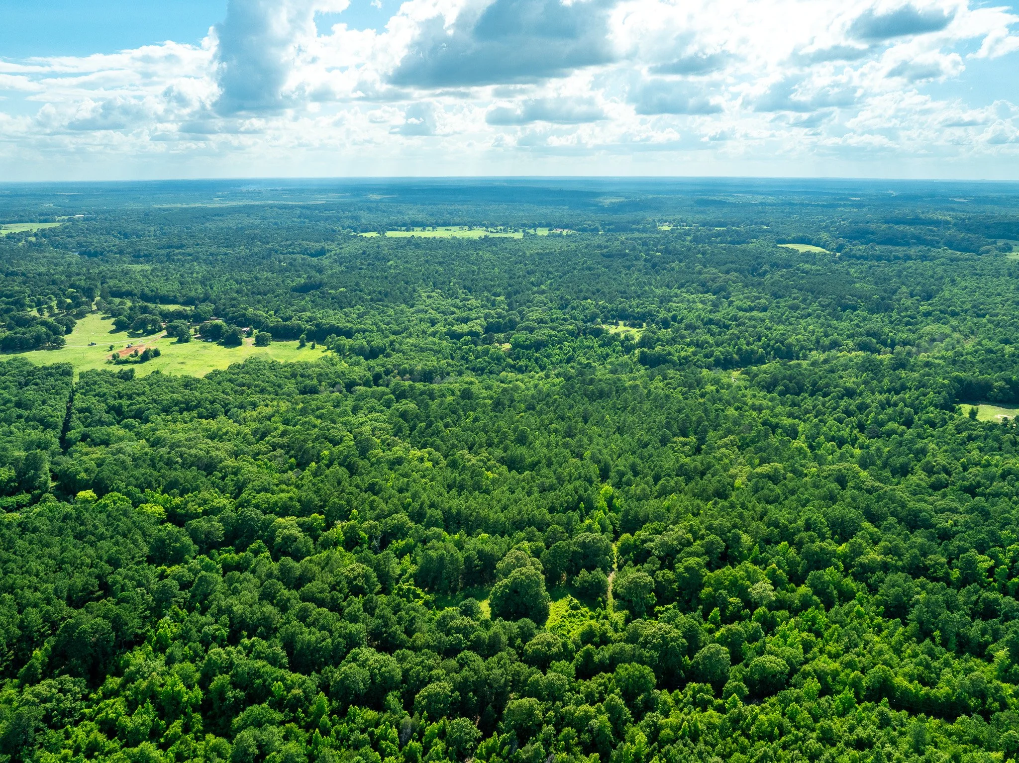 Tatum_Drone-10.jpg