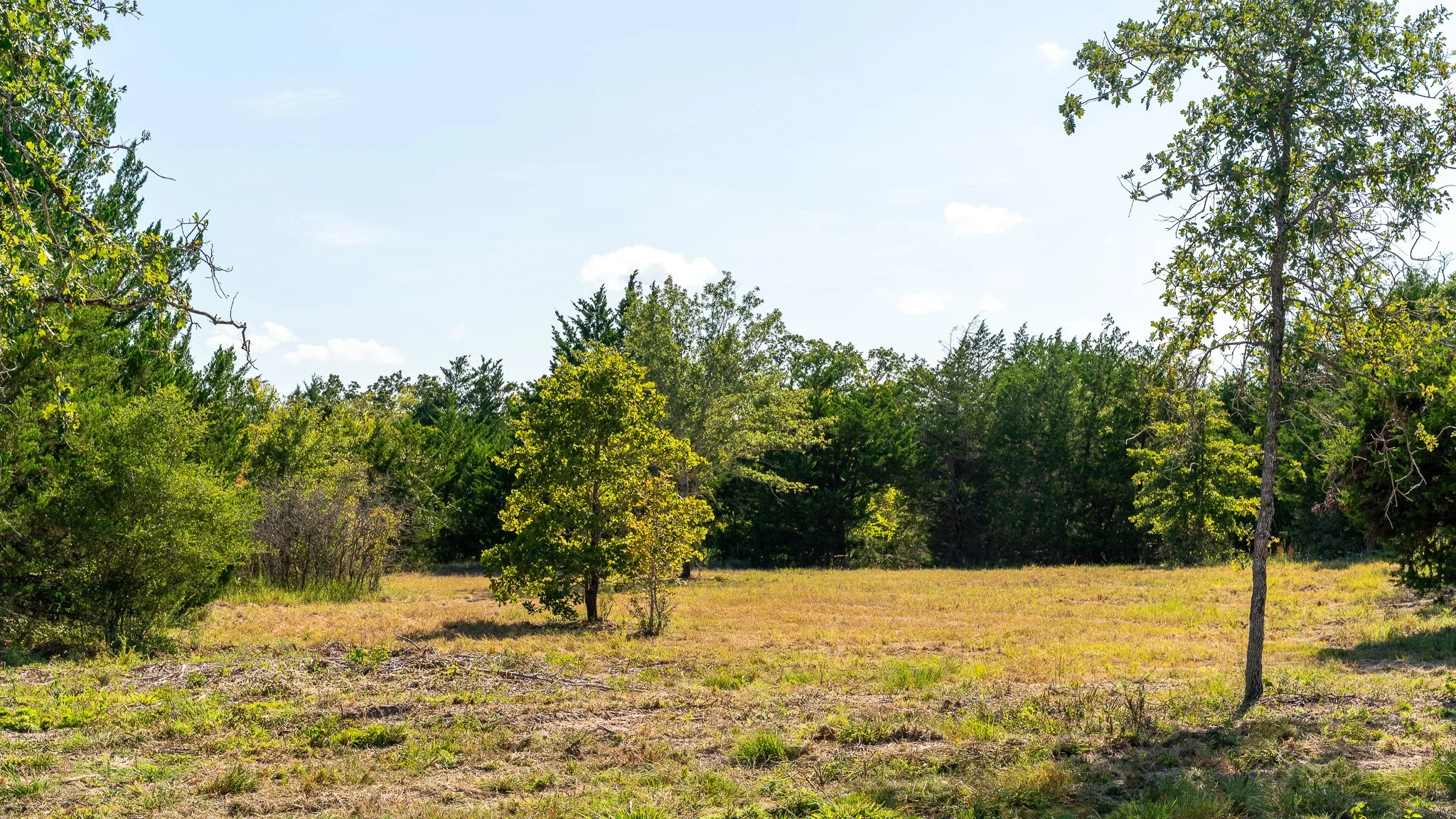 landscape-crestwood-41.jpg