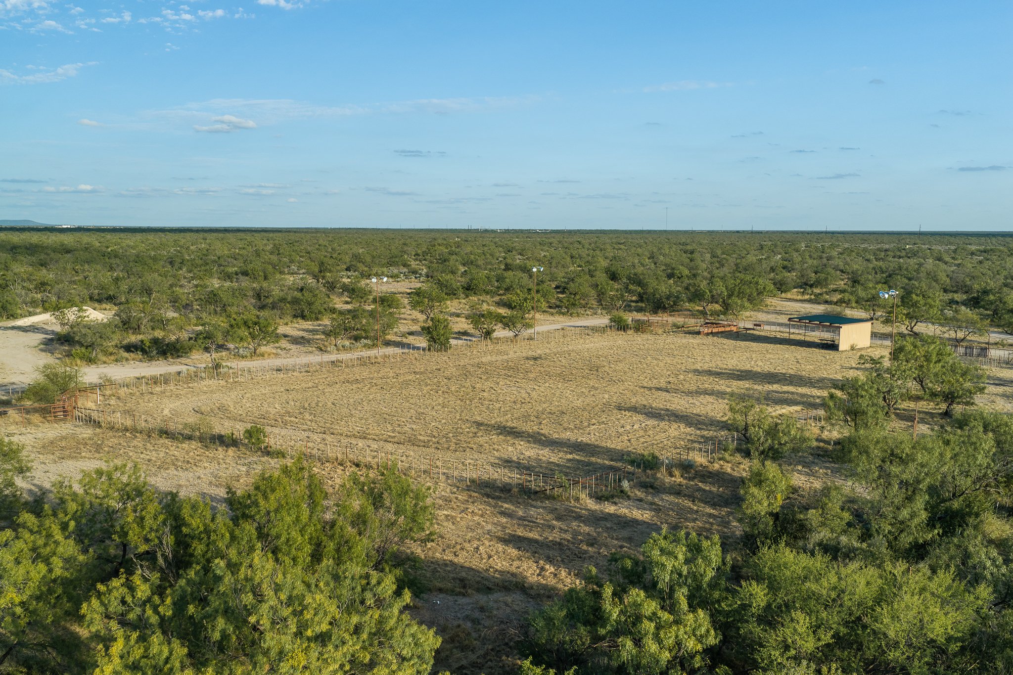 Blue_Rooster_Ranch-44.jpg