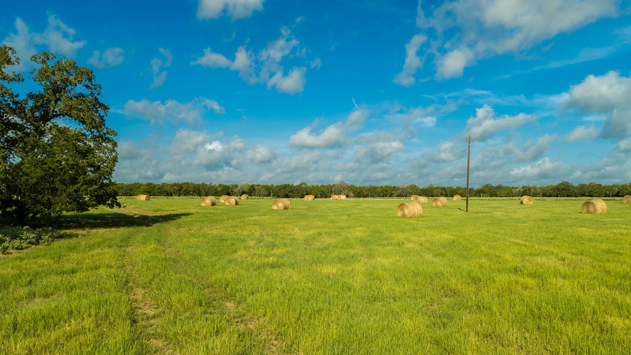 landscape-smithville-13.jpg