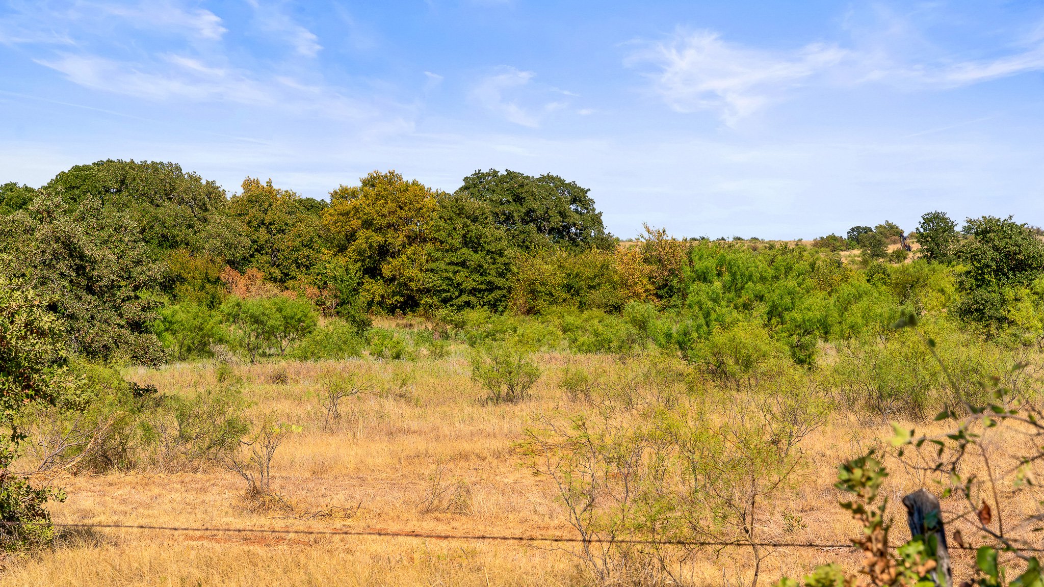 DSC09994-Landscape.jpg