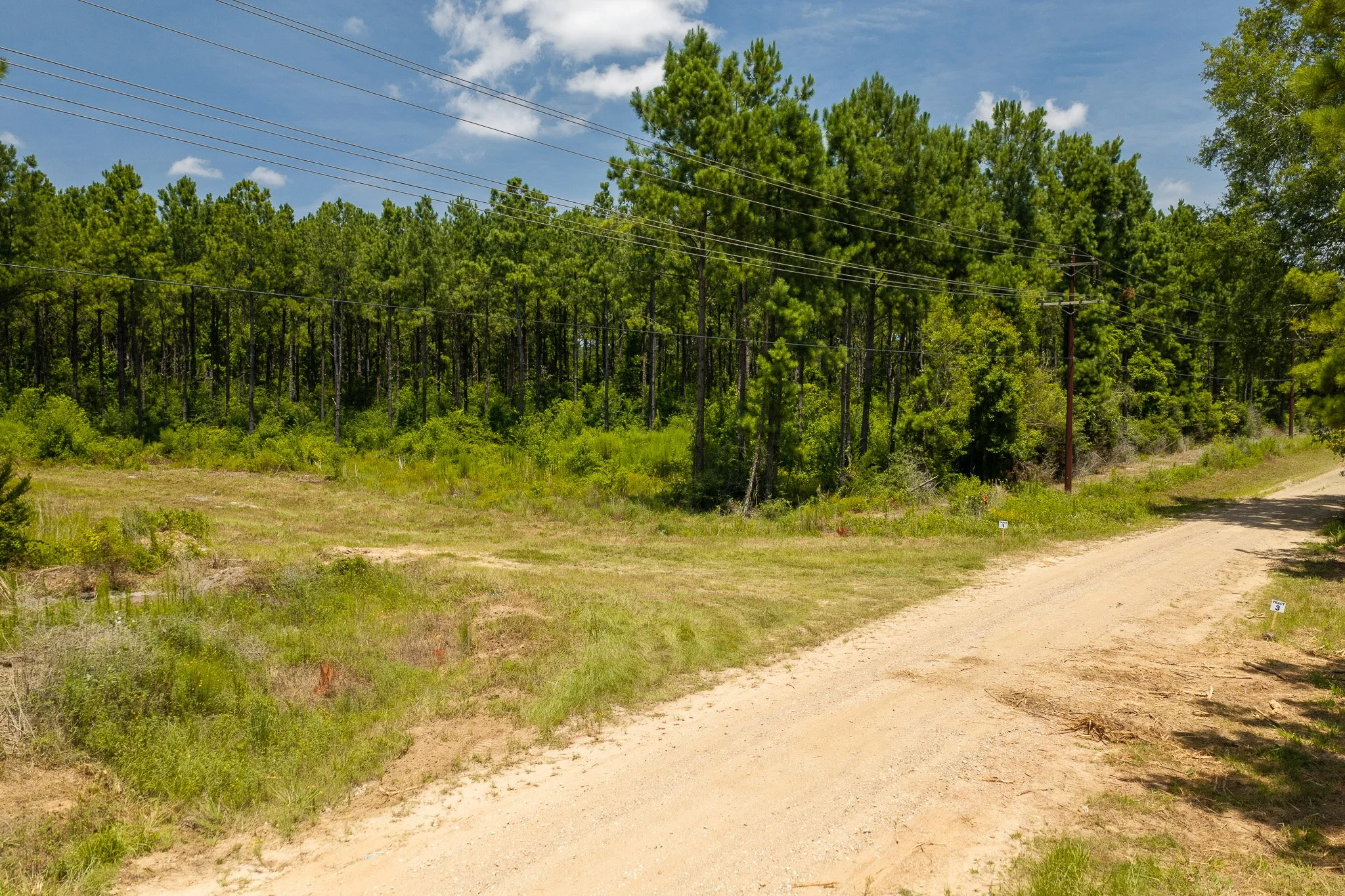 woodville-45.jpg