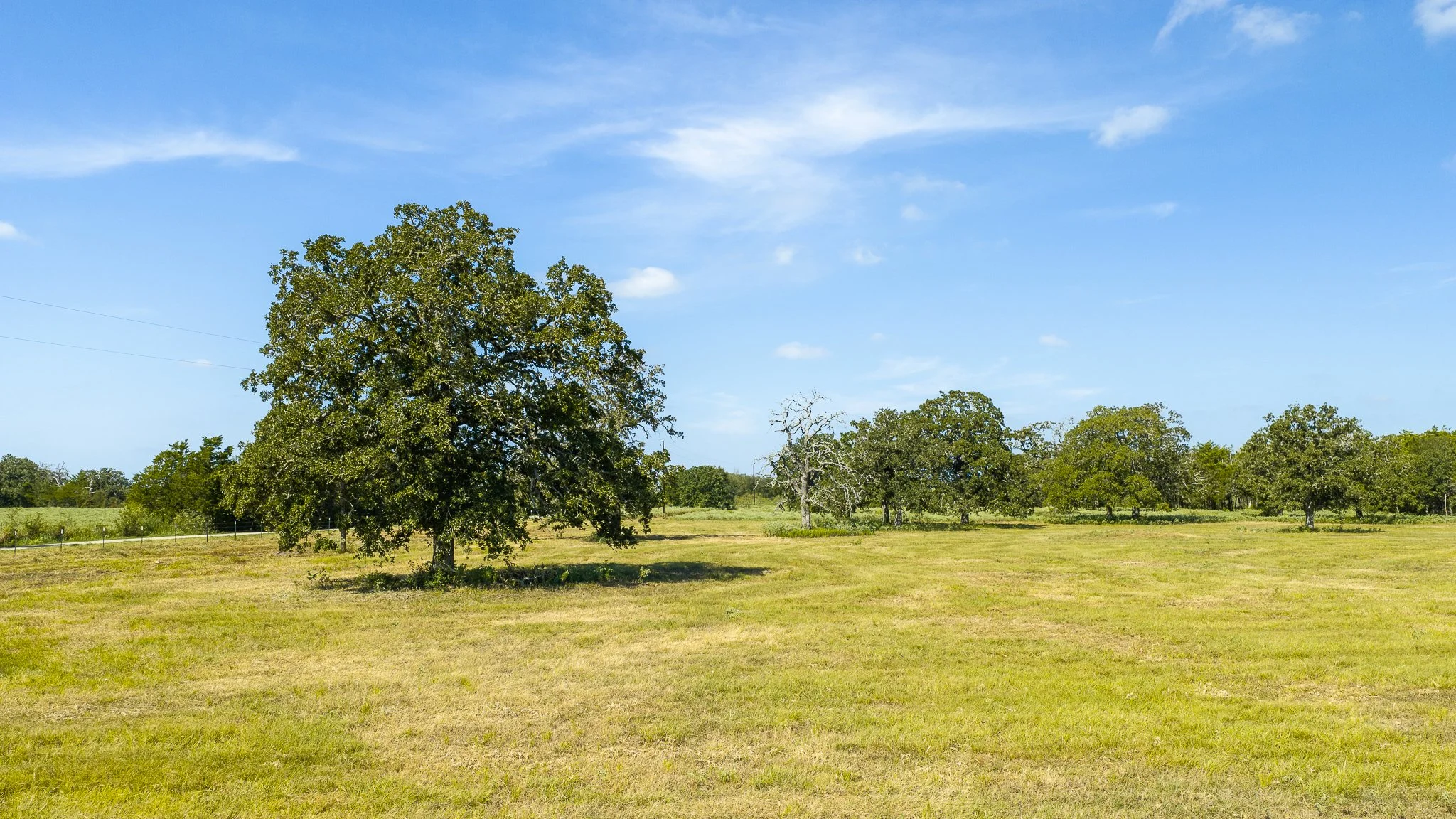 landscape-smithville-41.jpg