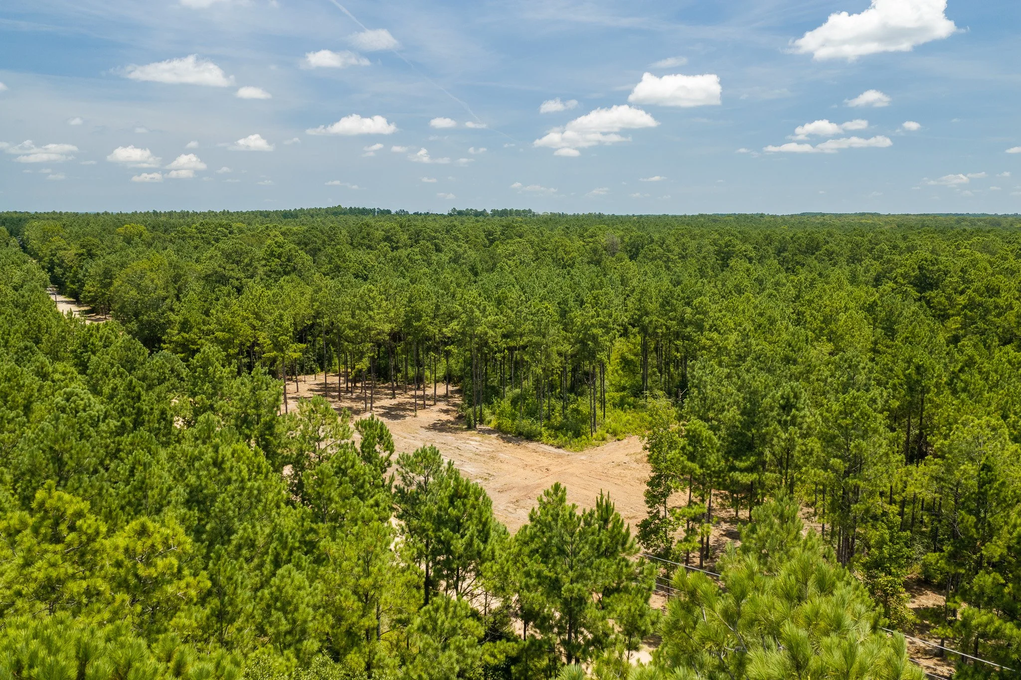 woodville-34.jpg
