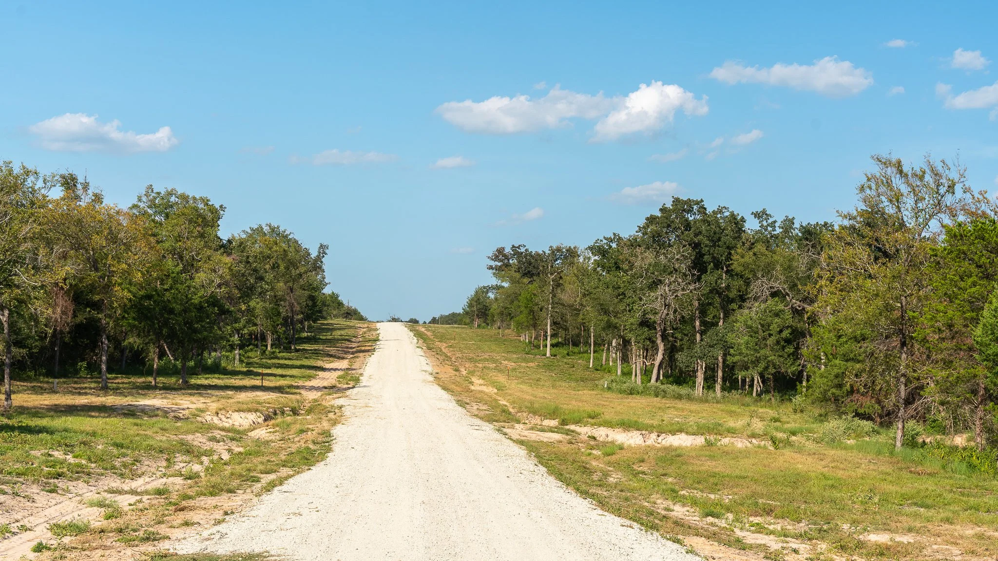 landscape-crestwood-77.jpg