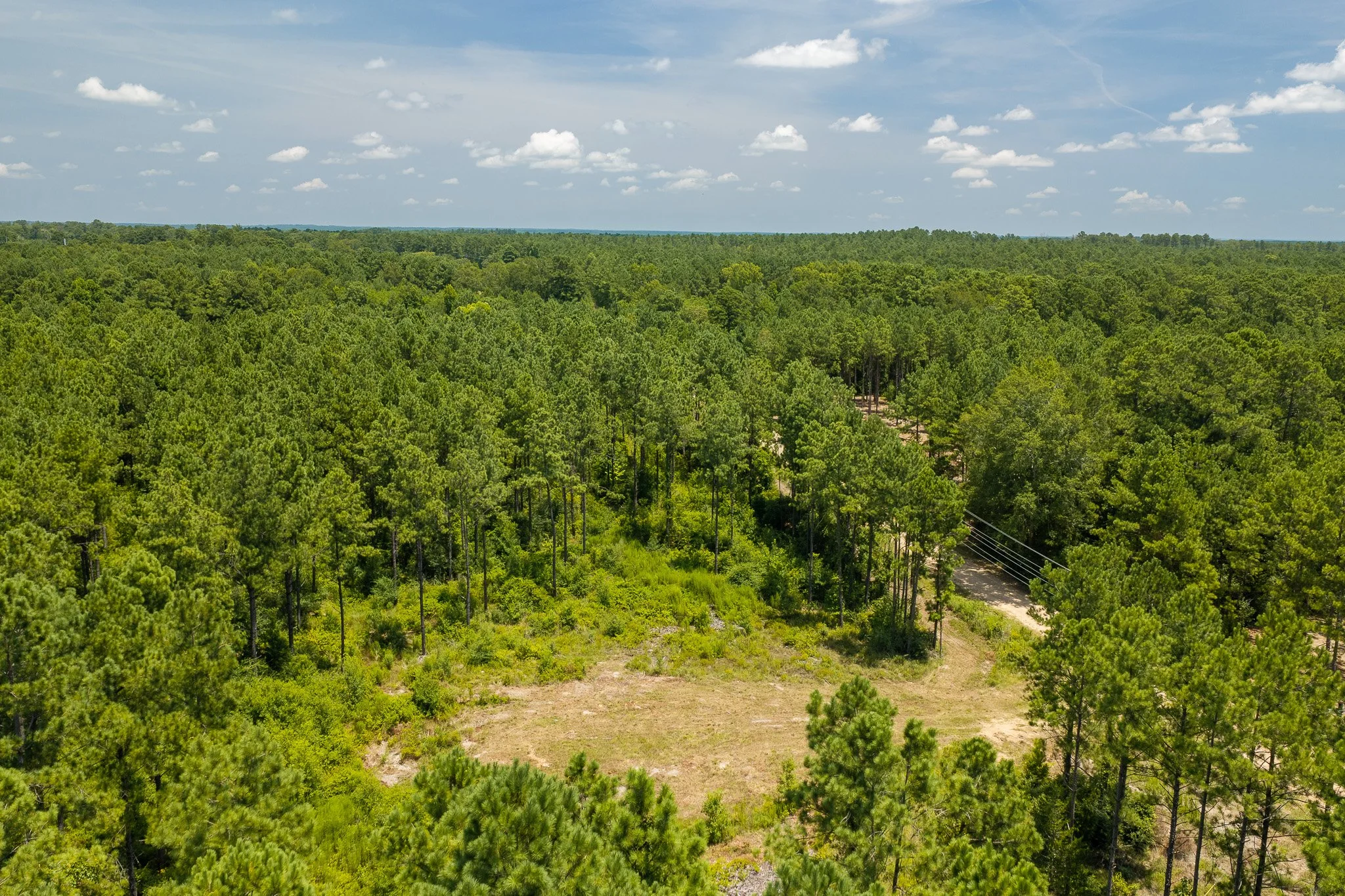 woodville-42.jpg