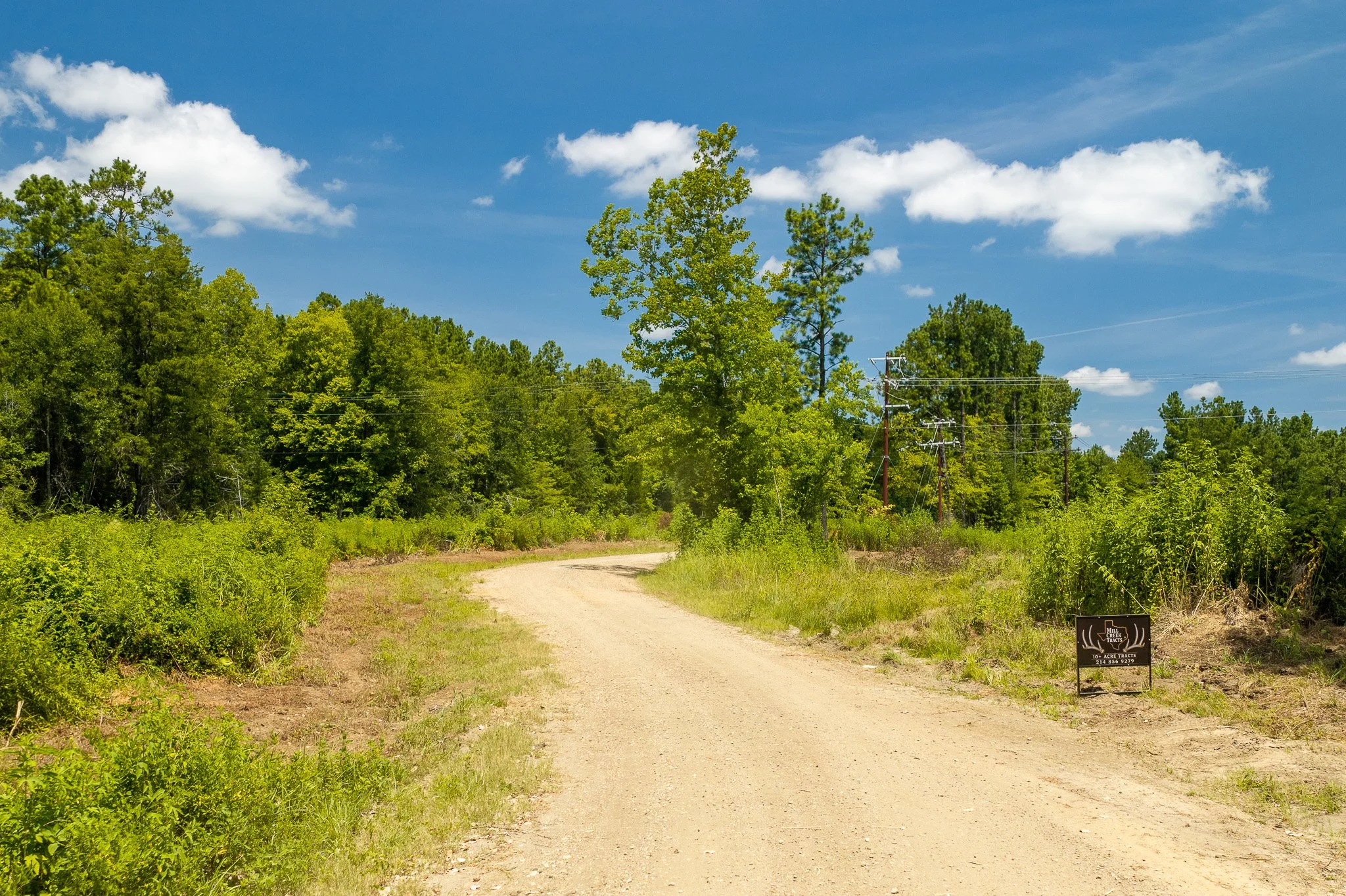 woodville-19.jpg