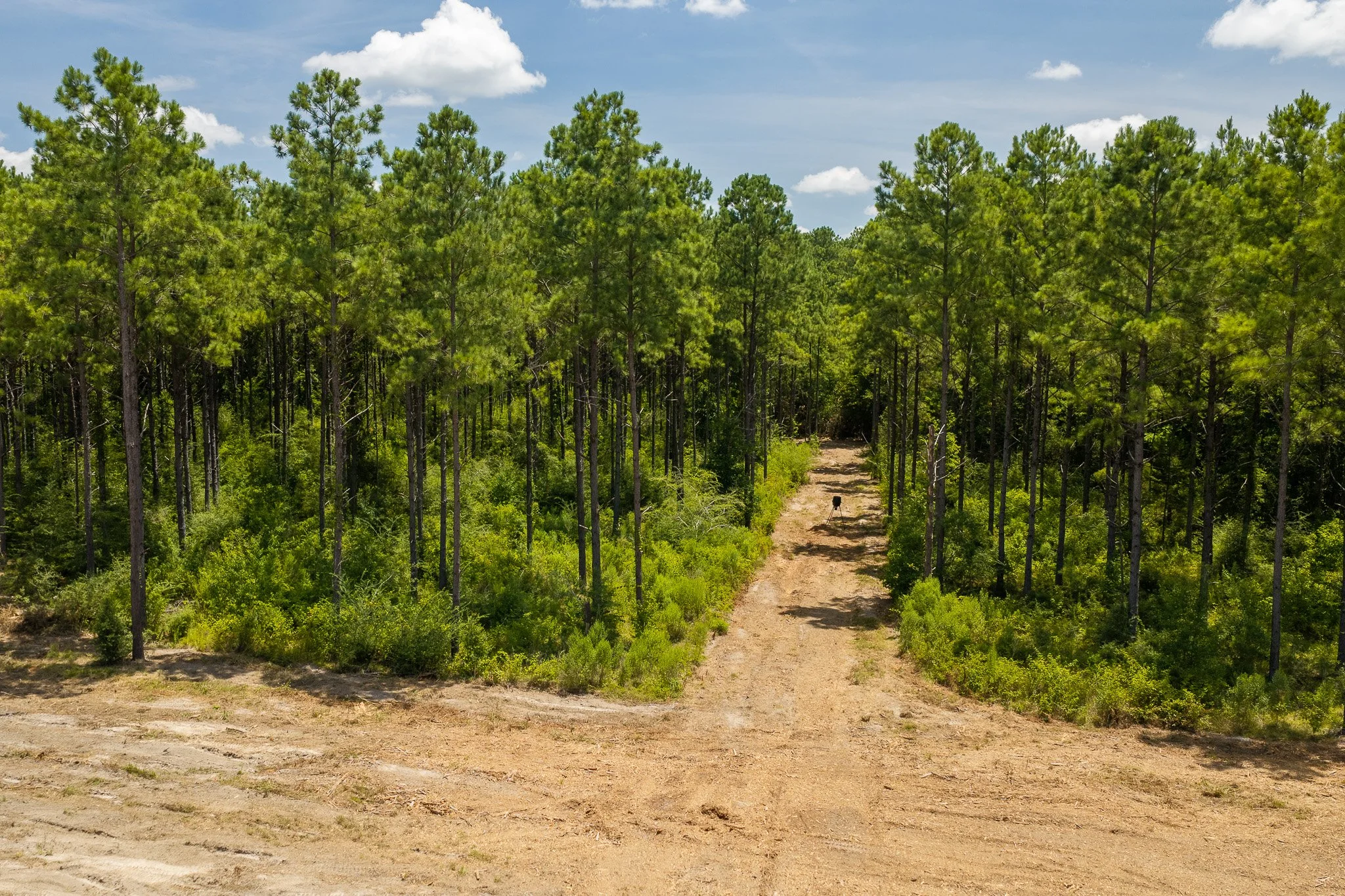 woodville-38.jpg