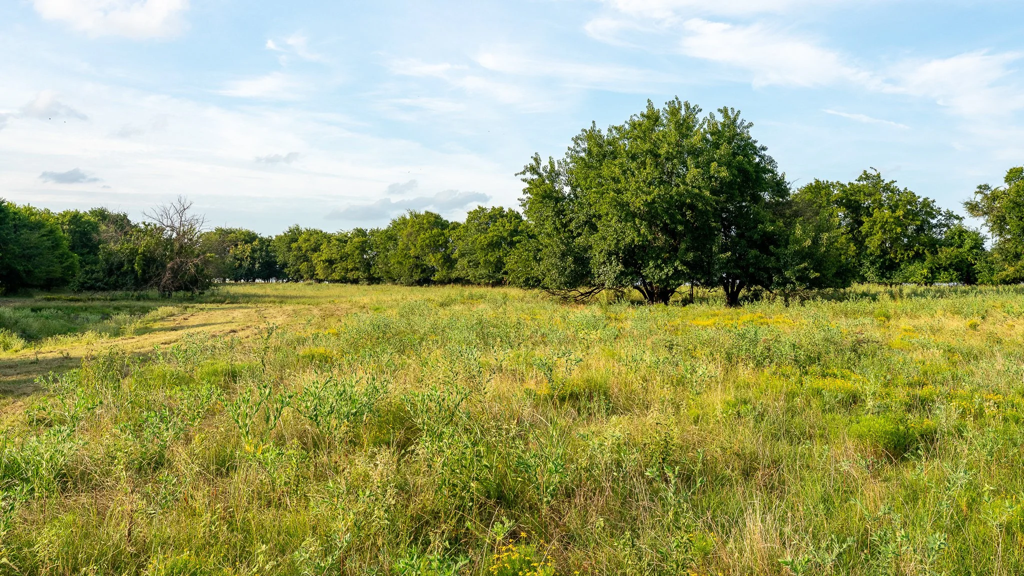 landscape-ground-summerdale--21.jpg