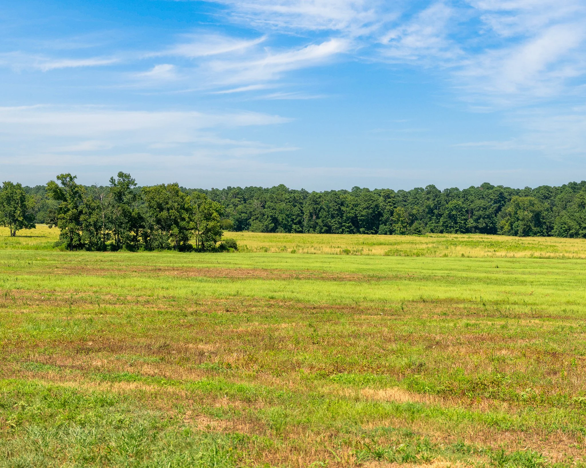 portrait-ratio-ground-level--40.jpg