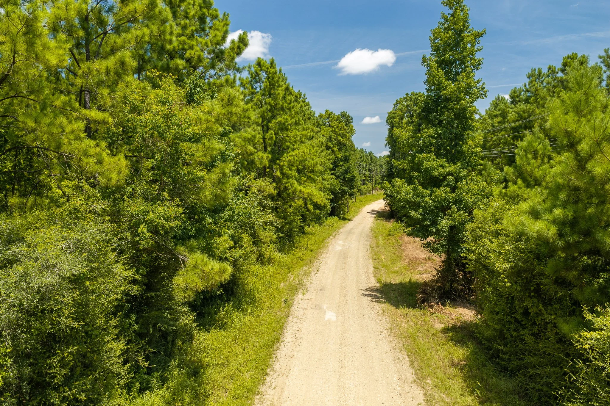 woodville-28.jpg