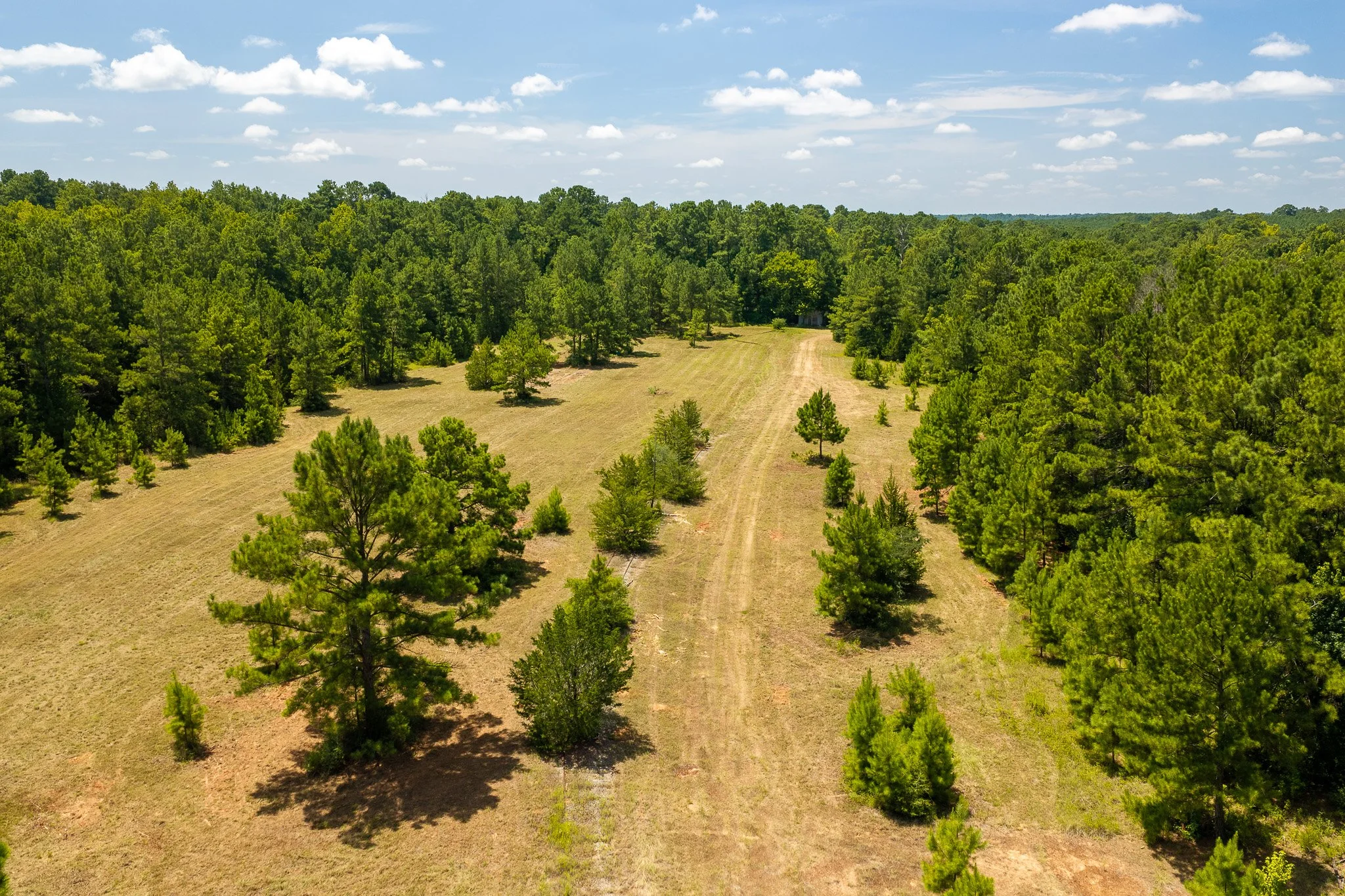 woodville-8.jpg
