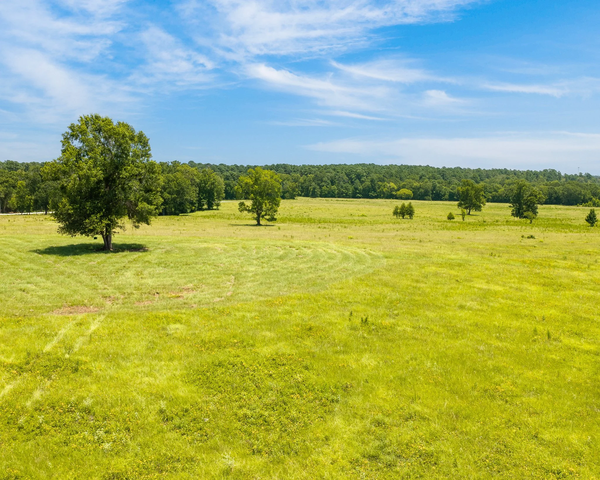 portrait-ratio-aerial-level--7.jpg
