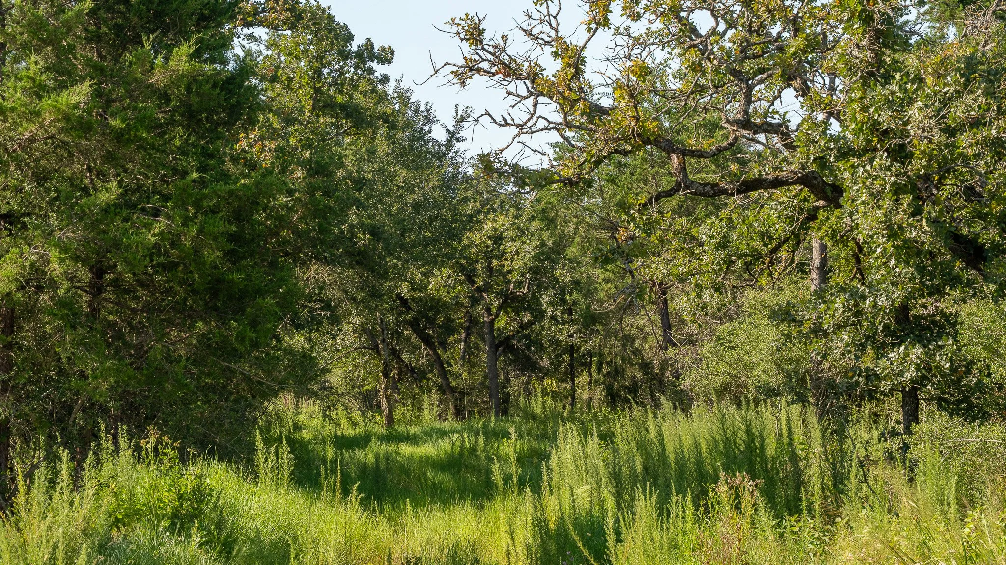 landscape-crestwood-61.jpg