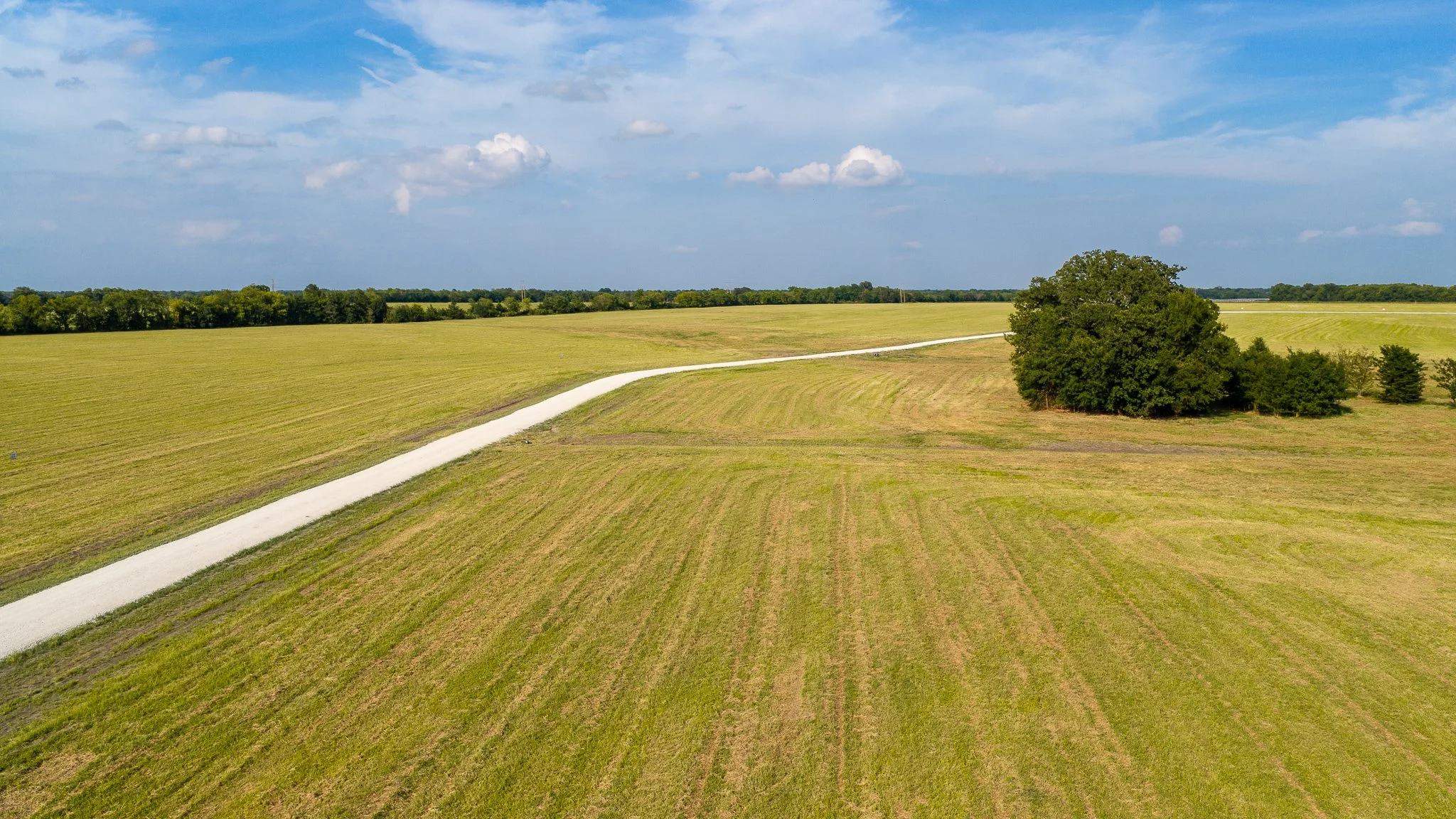 landscape-aerial-summerdale--23.jpg