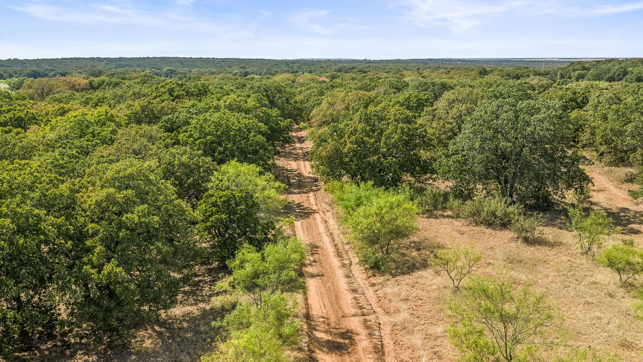 DJI_20260828161439_0360_D-Landscape.jpg