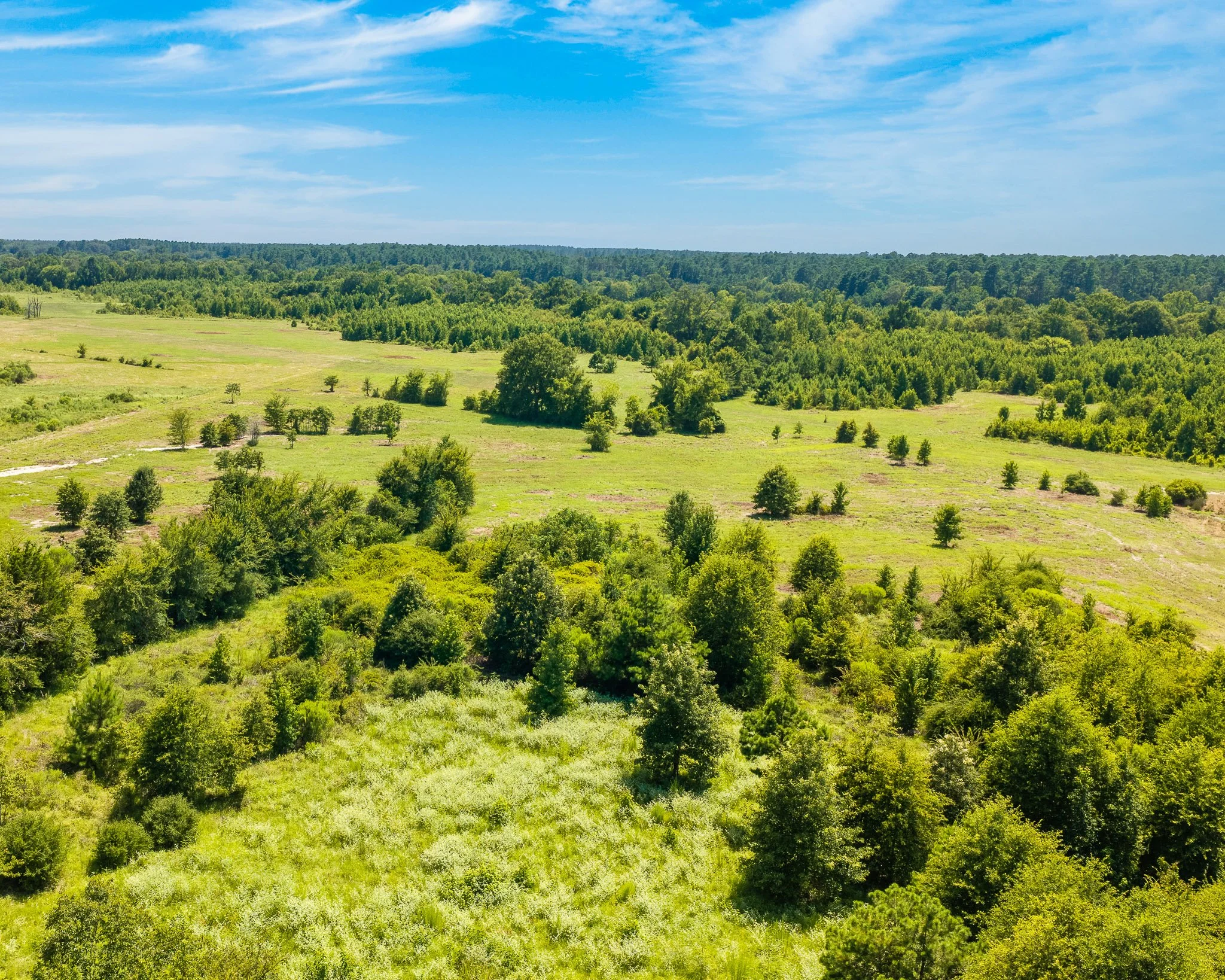 portrait-ratio-aerial-level--31.jpg