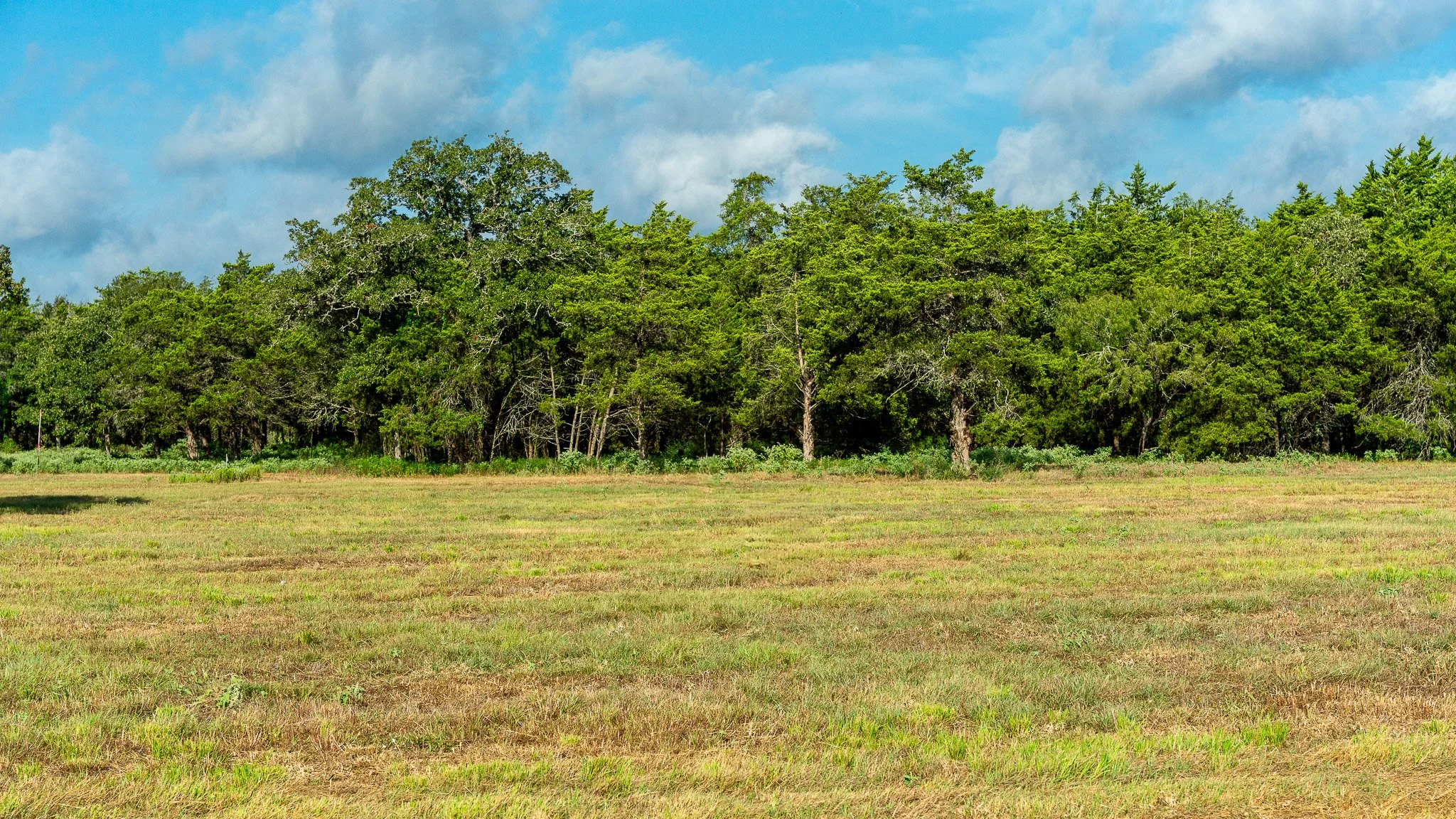 landscape-smithville-1.jpg