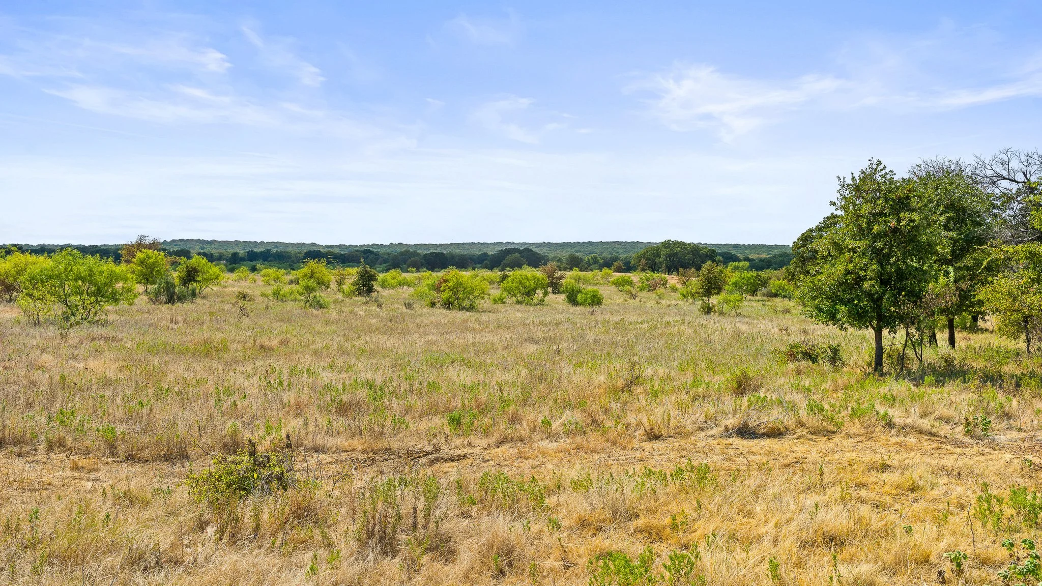 DSC09969-Landscape.jpg