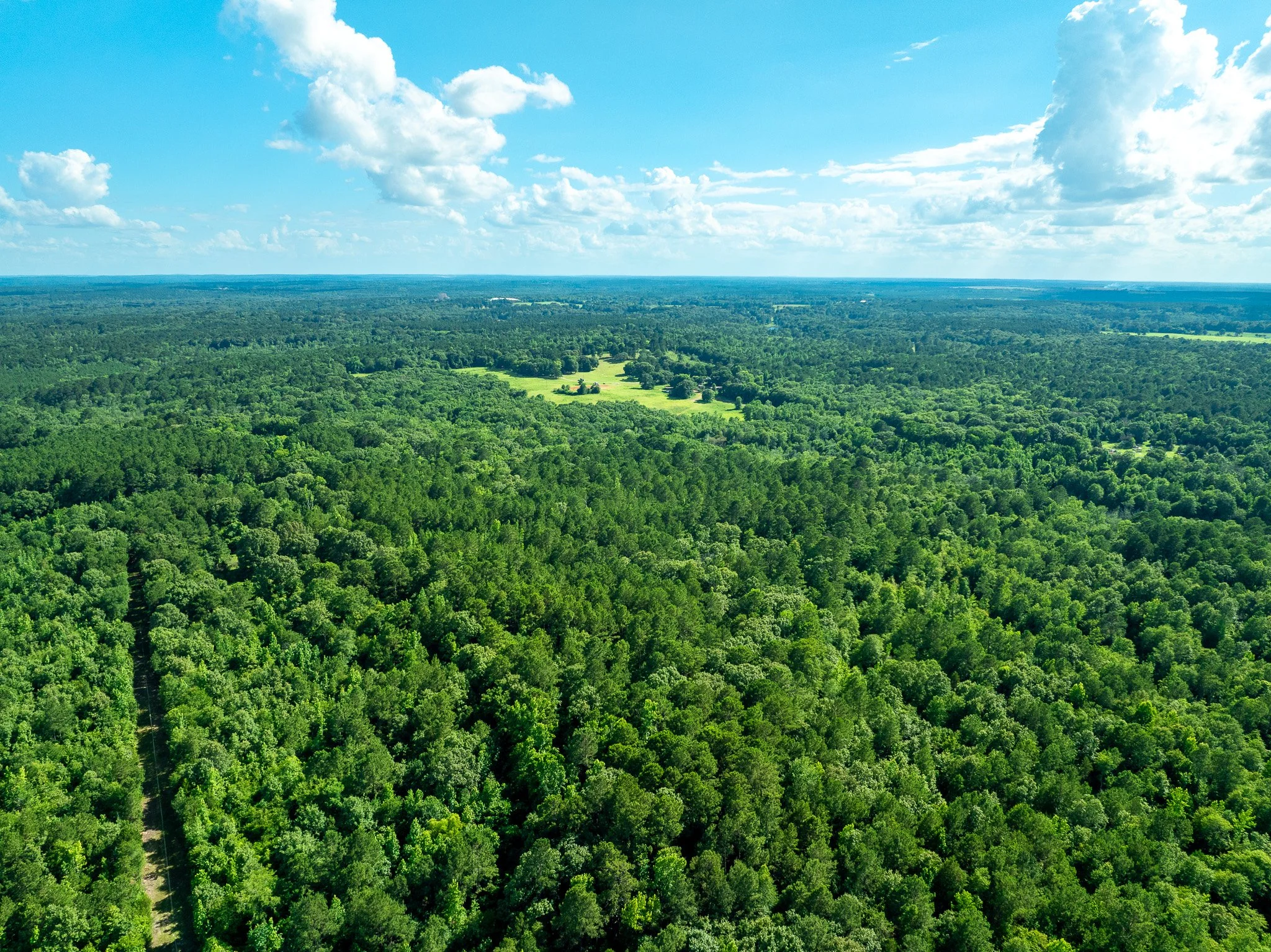 Tatum_Drone-9.jpg
