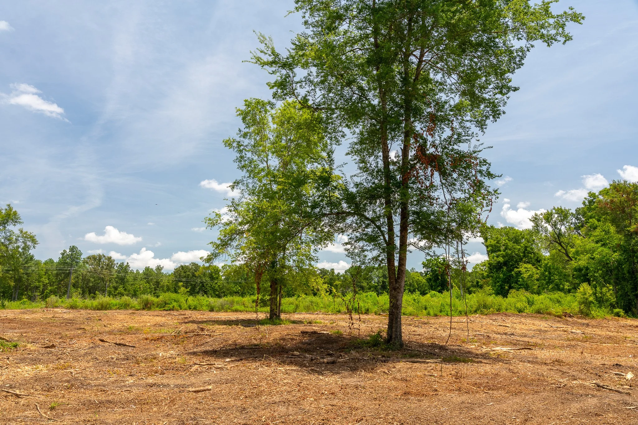 woodville-84.jpg