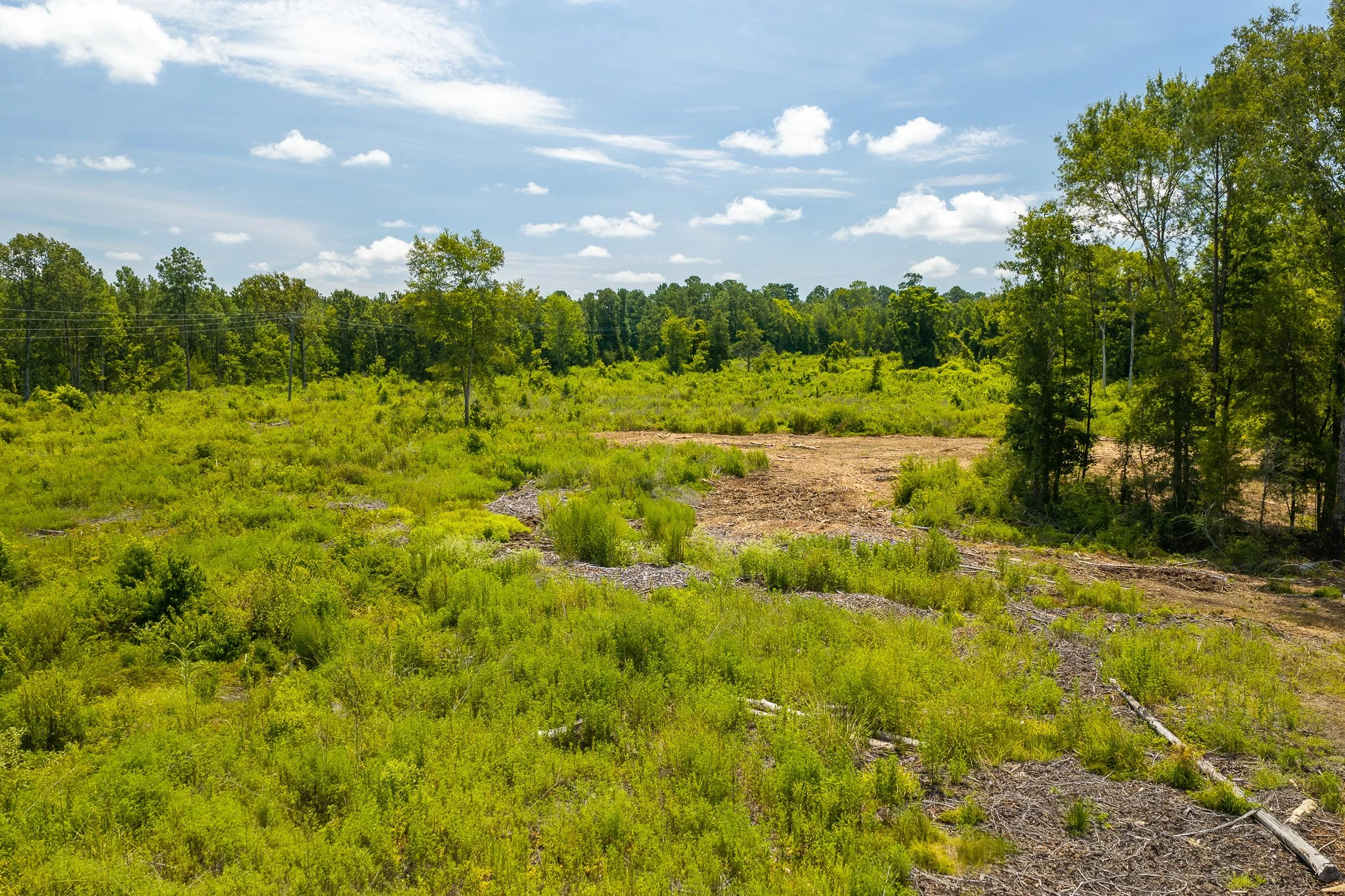 woodville-18.jpg