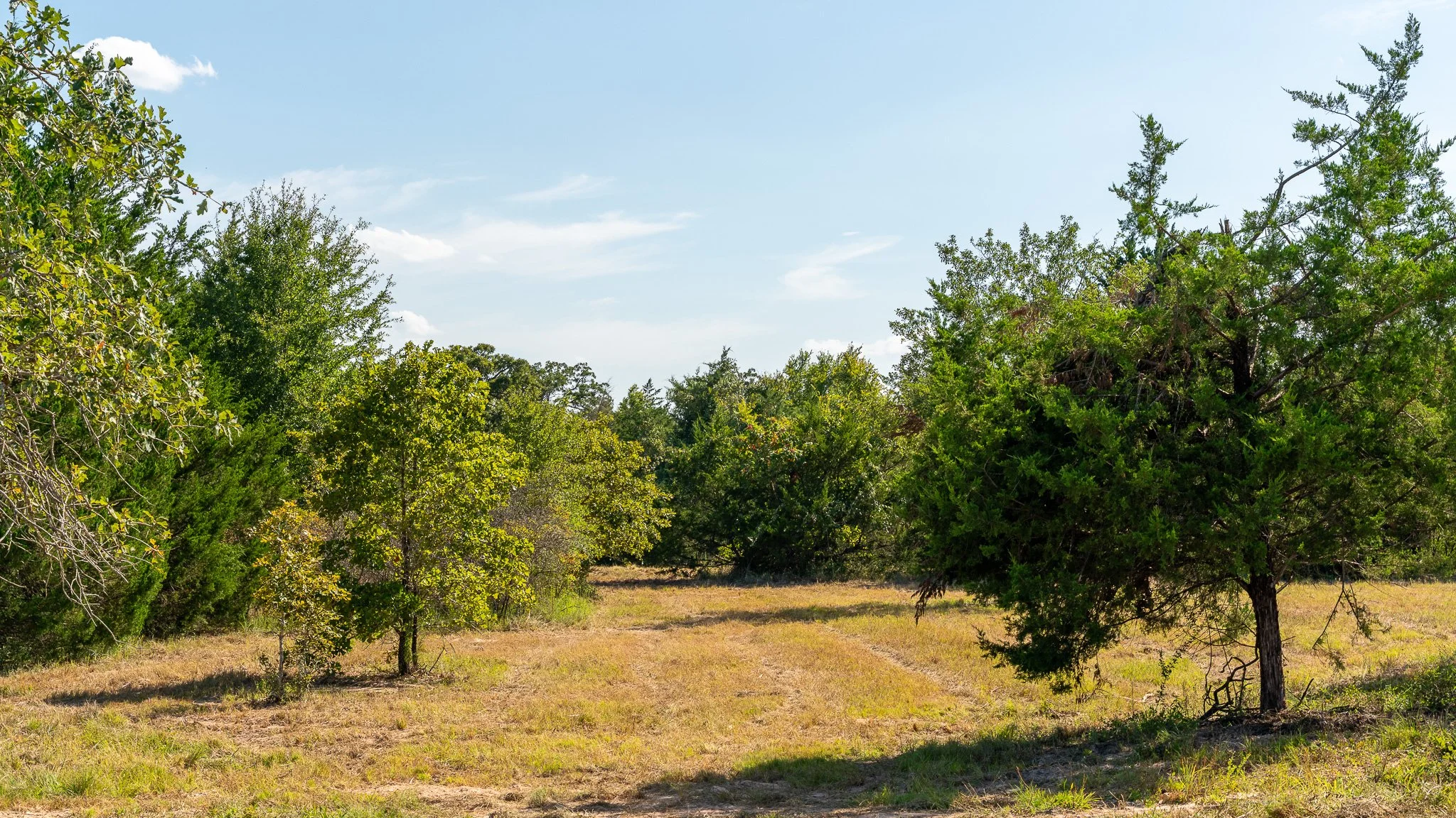 landscape-crestwood-42.jpg