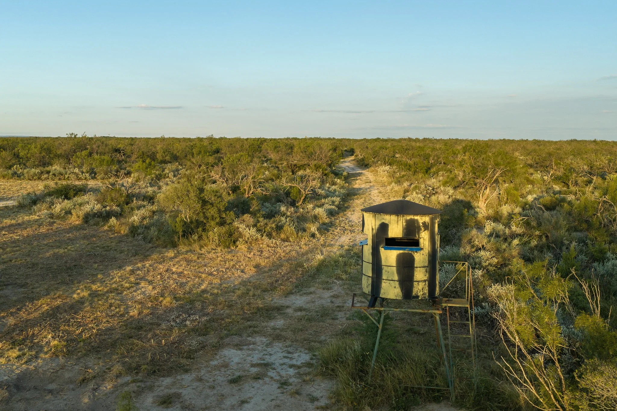 Blue_Rooster_Ranch-70.jpg