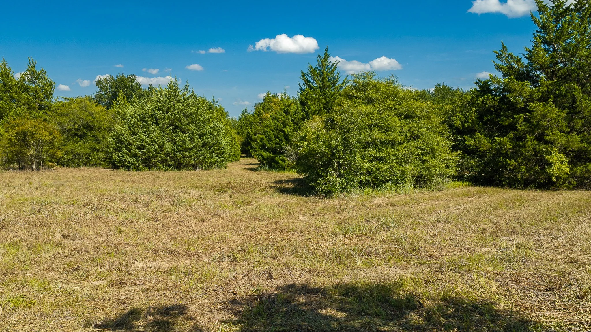 landscape-crestwood-4.jpg