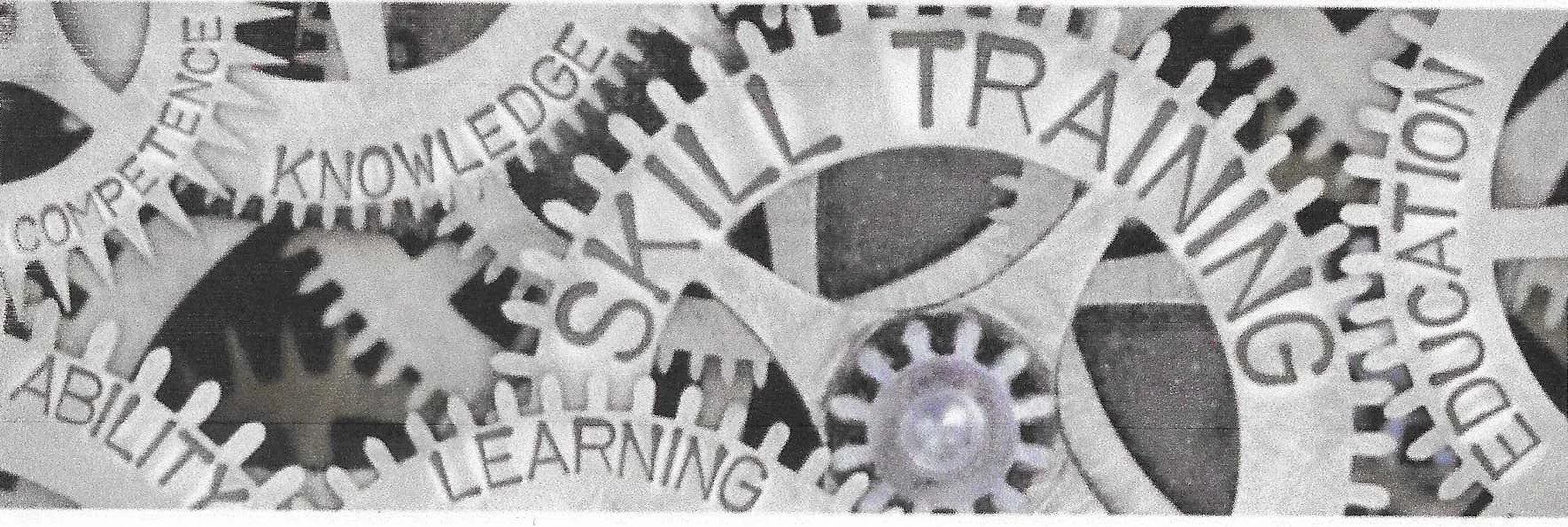 Computer Skills
