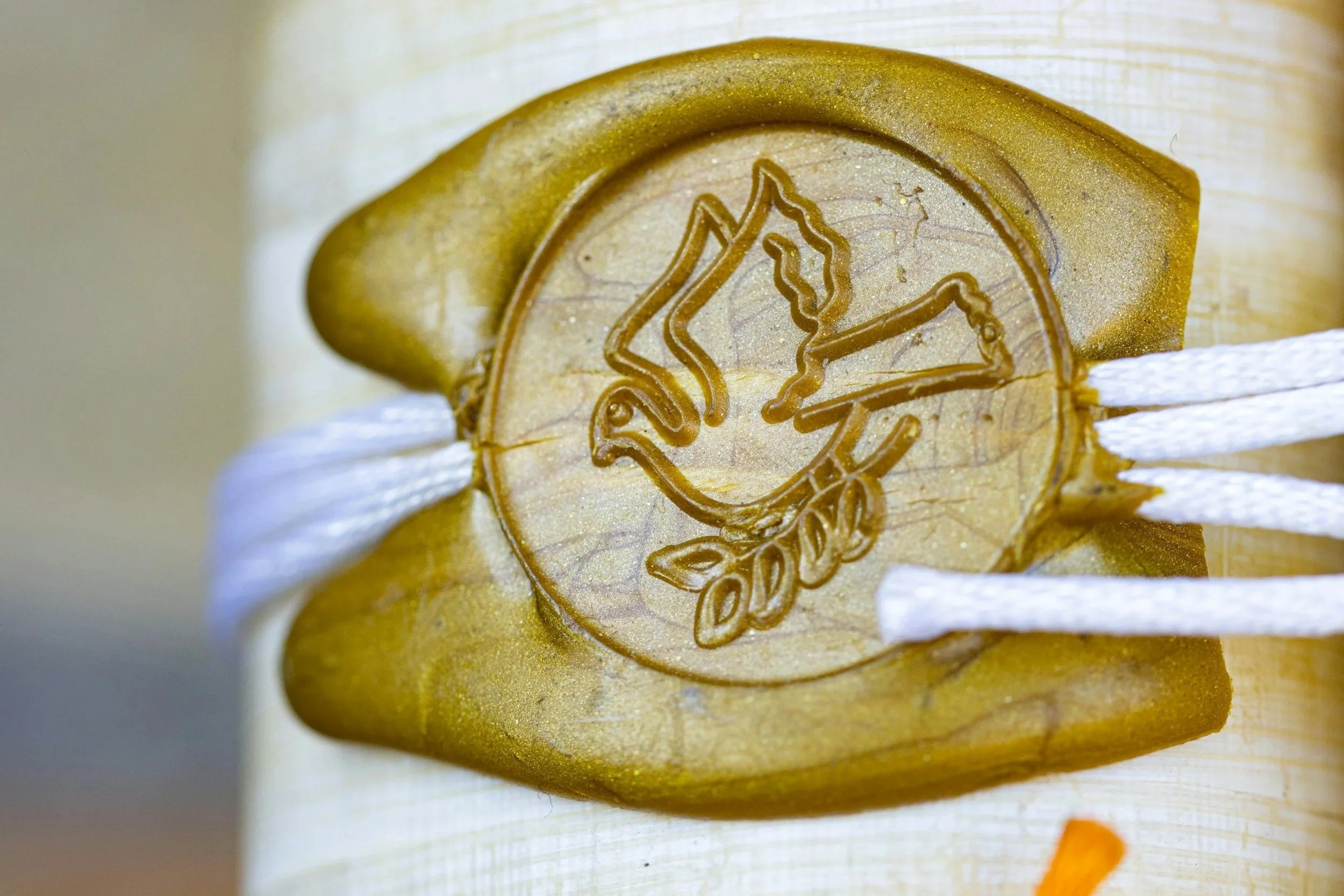 Obtain death certificates