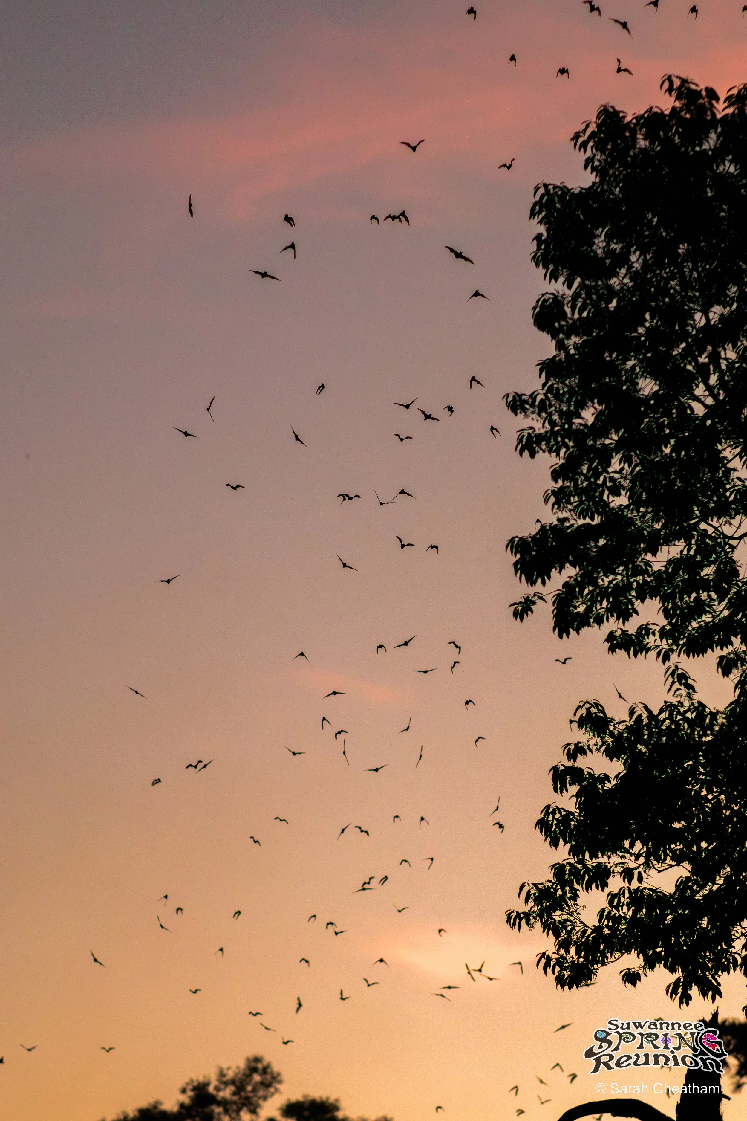 Candids_SuwanneeSpringReunion_creditSarahCheatham (65).jpg