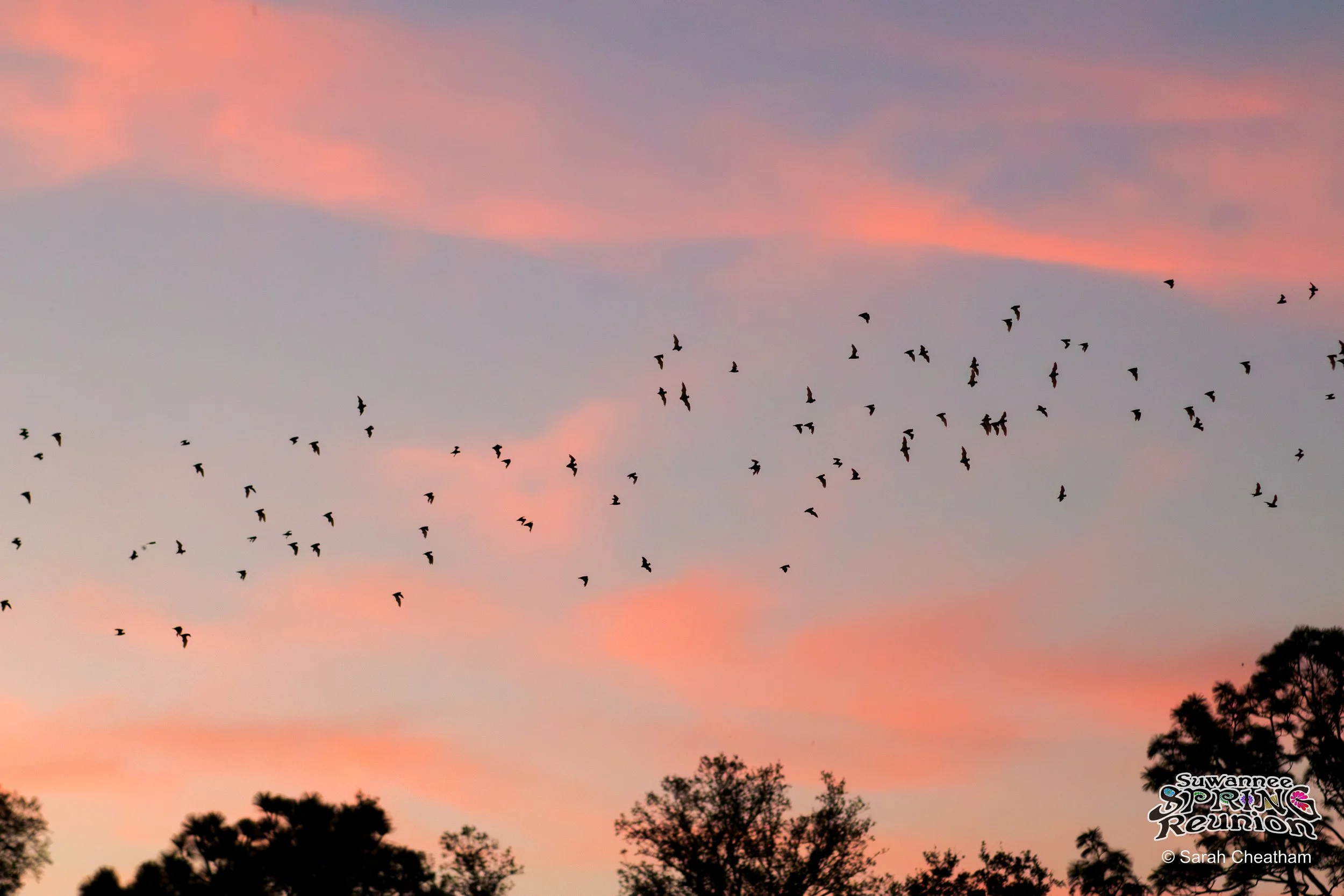 Candids_SuwanneeSpringReunion_creditSarahCheatham (64).jpg