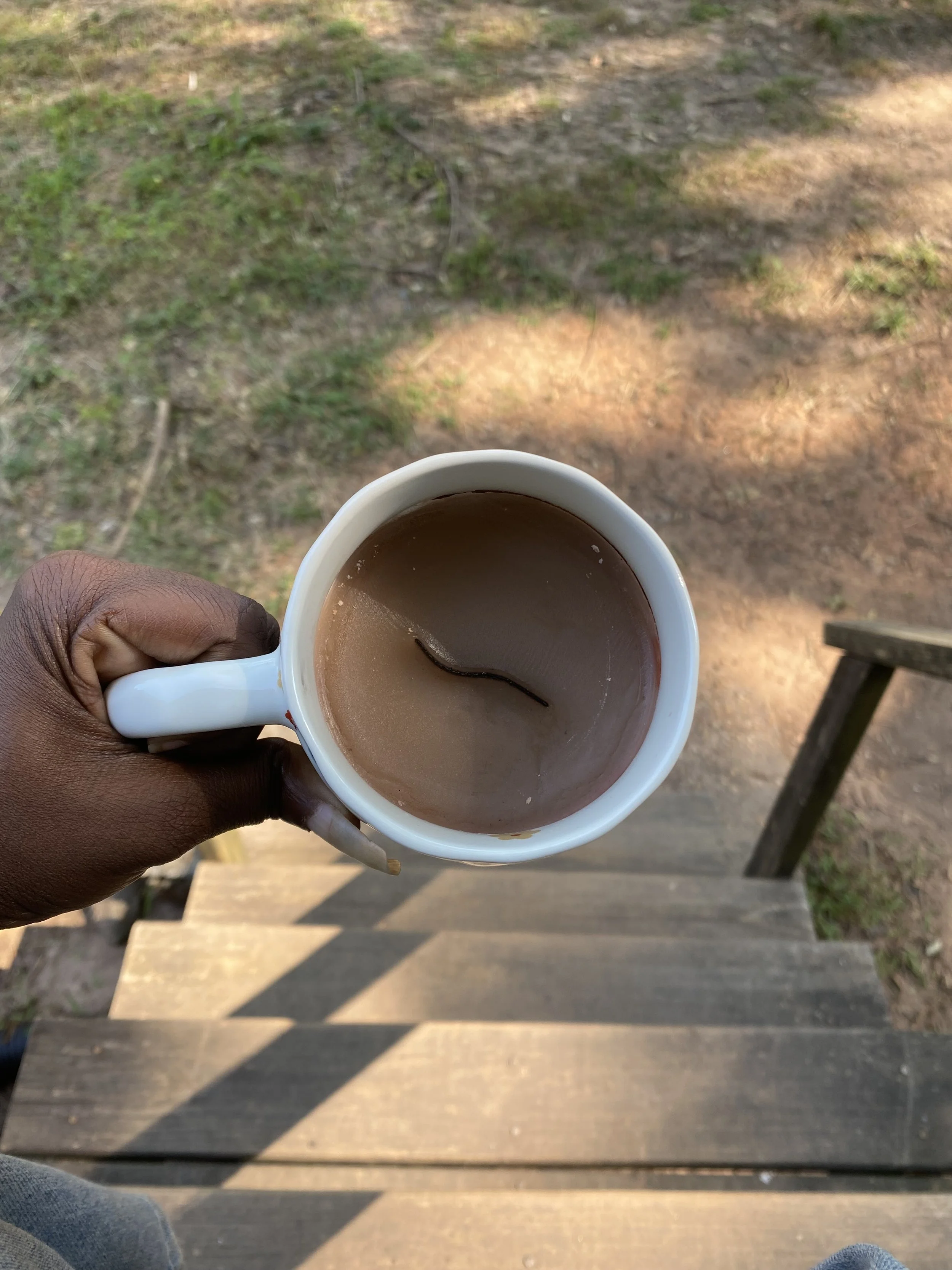 IMG_6559.jpeg